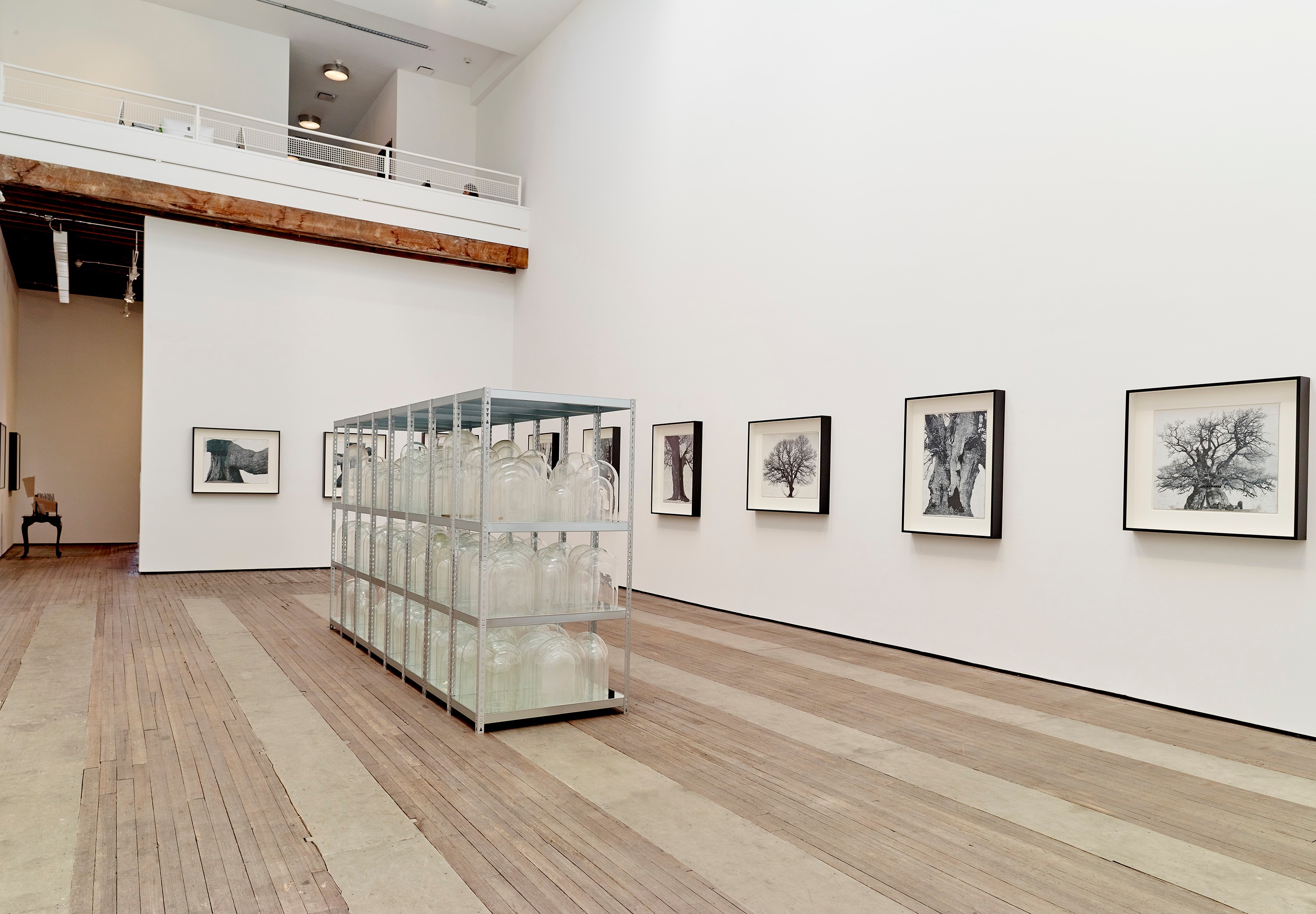 Installation view of Patrick Van Caeckenberg at Lehmann Maupin New York