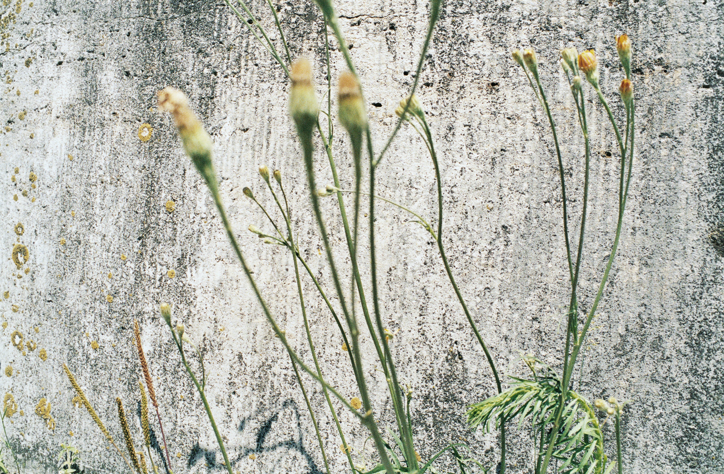 Photograph by Juergen Teller