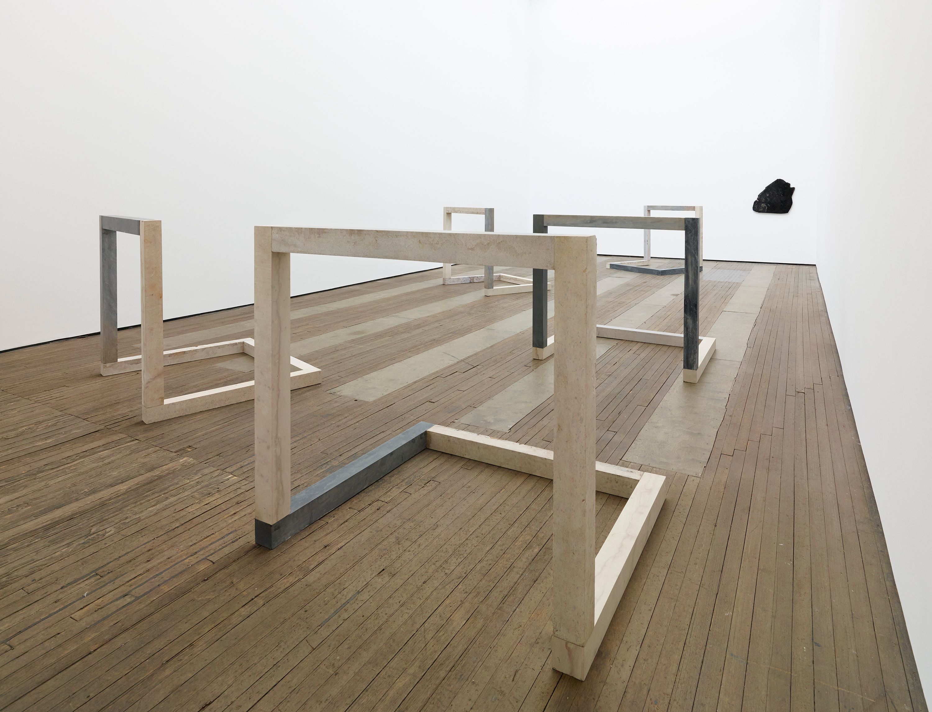 Installation view of Anya Gallaccio at Lehmann Maupin New York