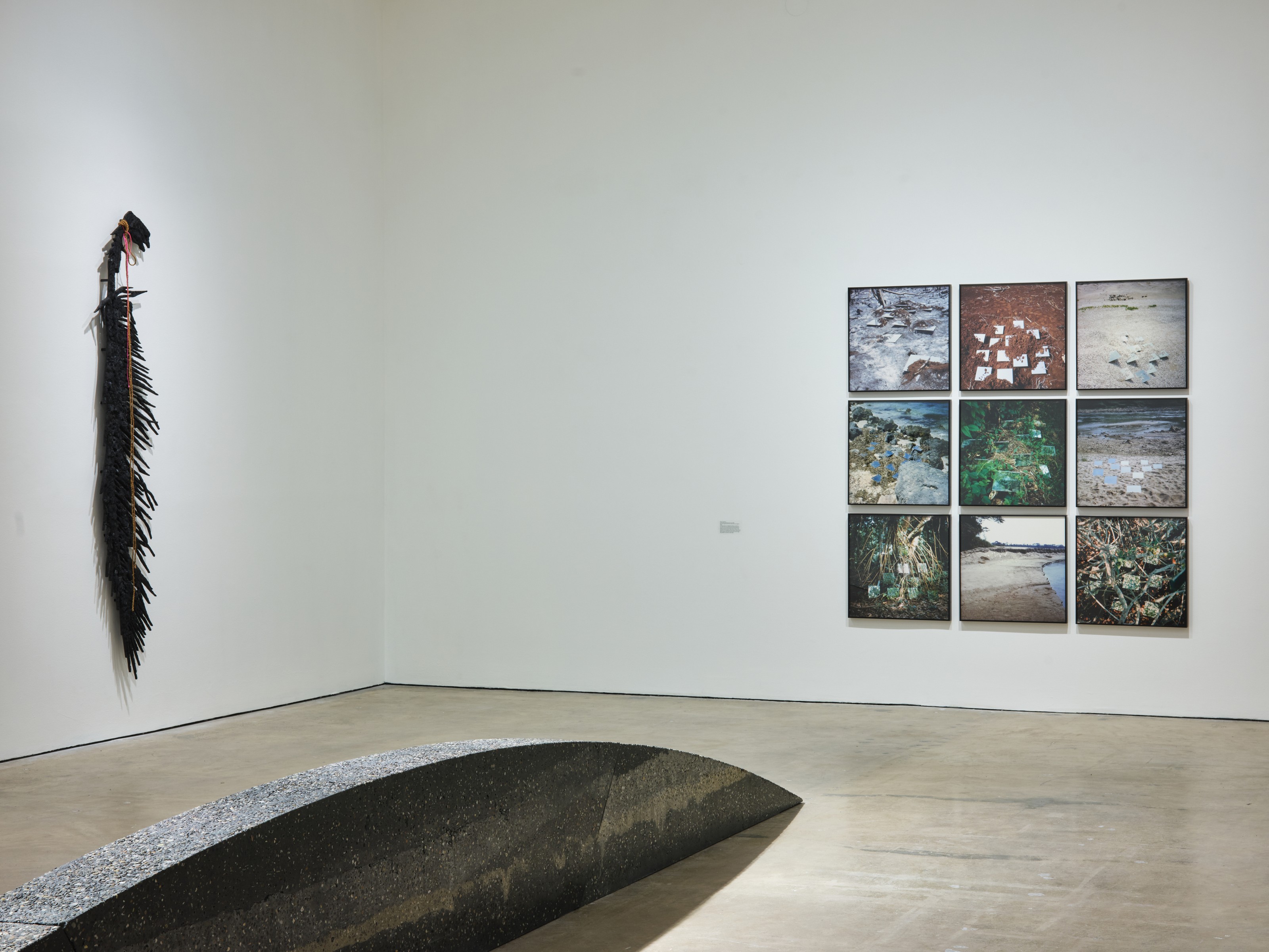 Exhibition by Teresita Fernández