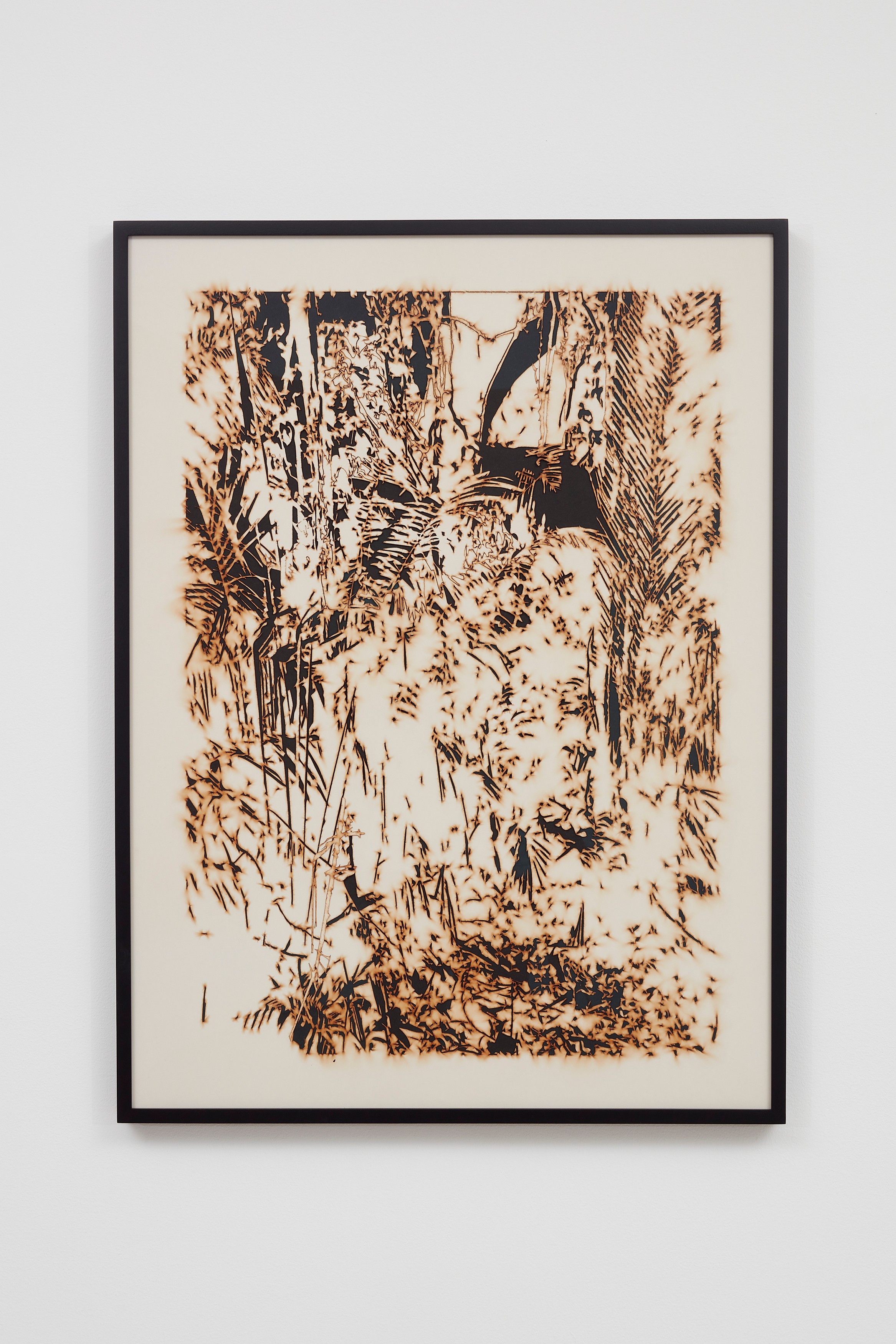 Work on paper by Teresita Fernández