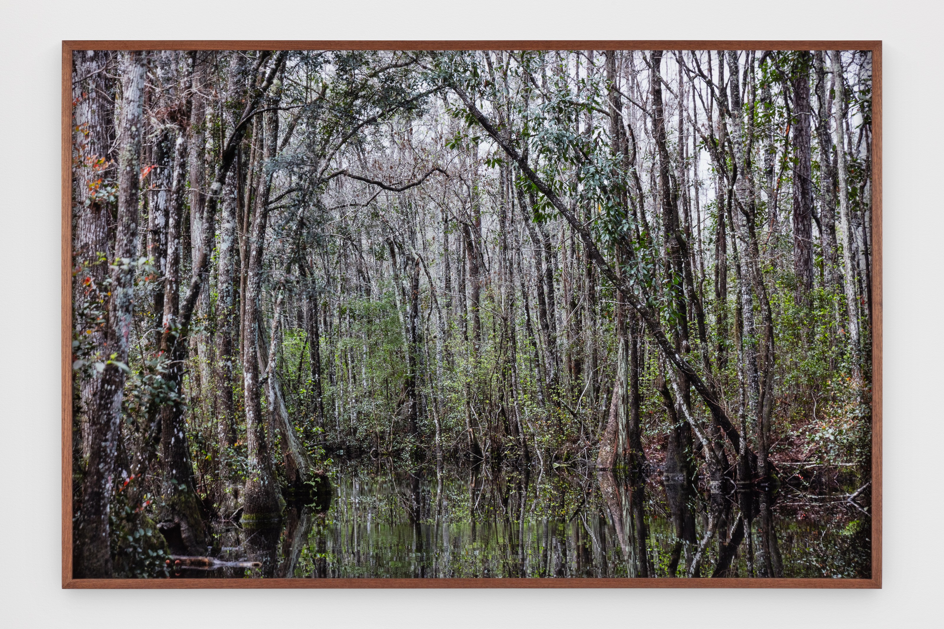 Photograph by Catherine Opie