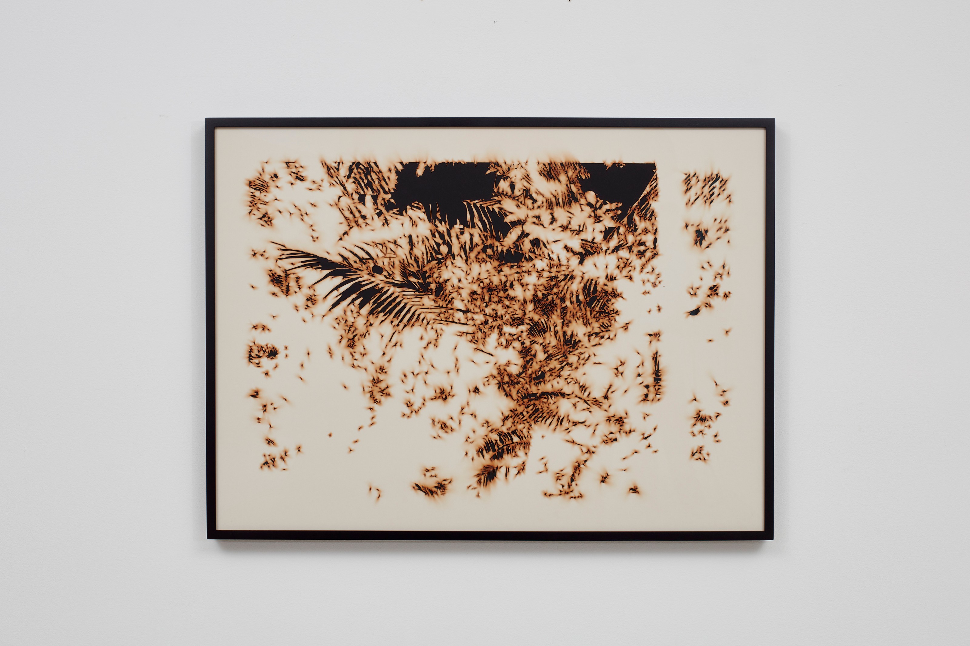 Work on paper by Teresita Fernández