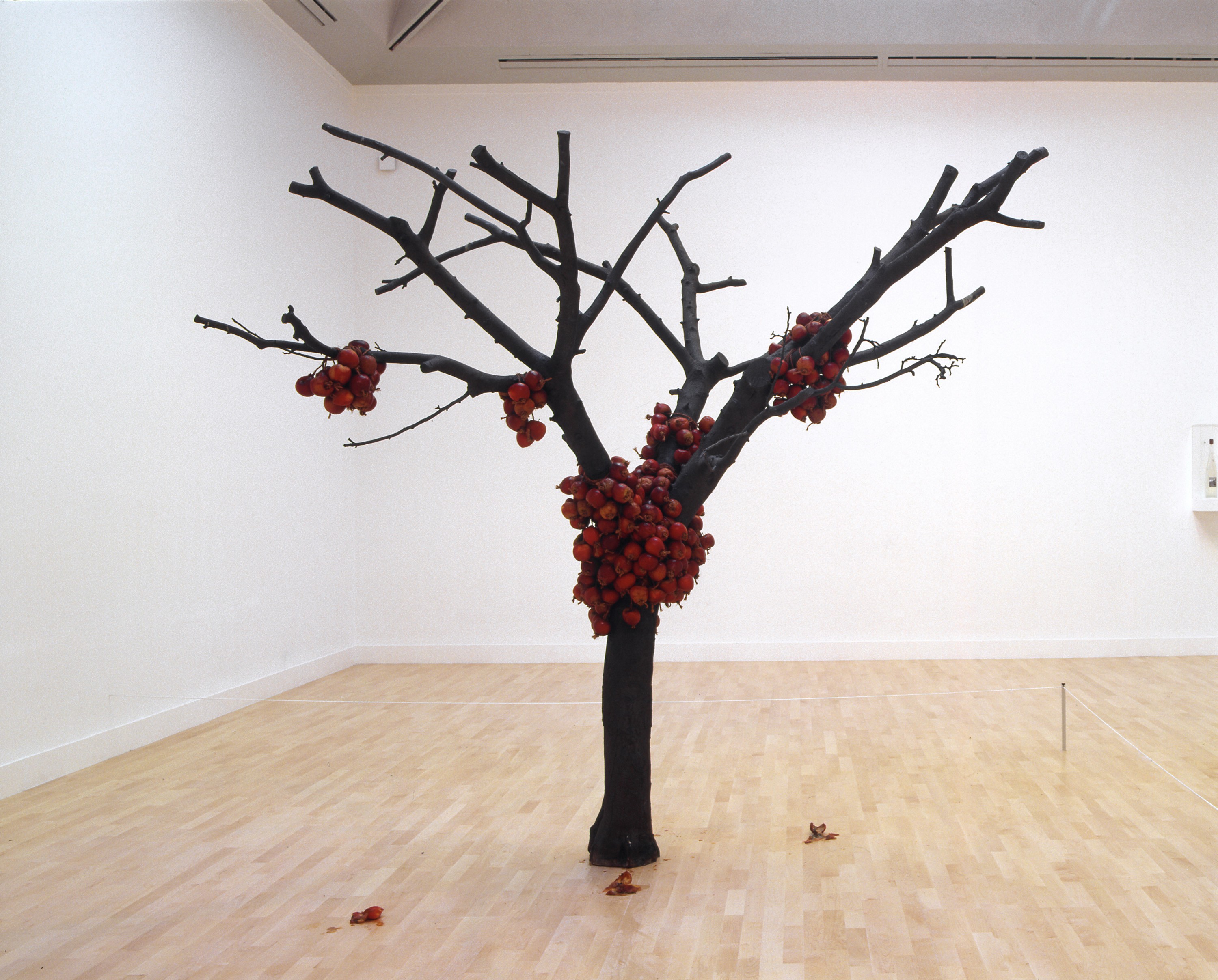 Installation of because I could not stop at Tate Britain