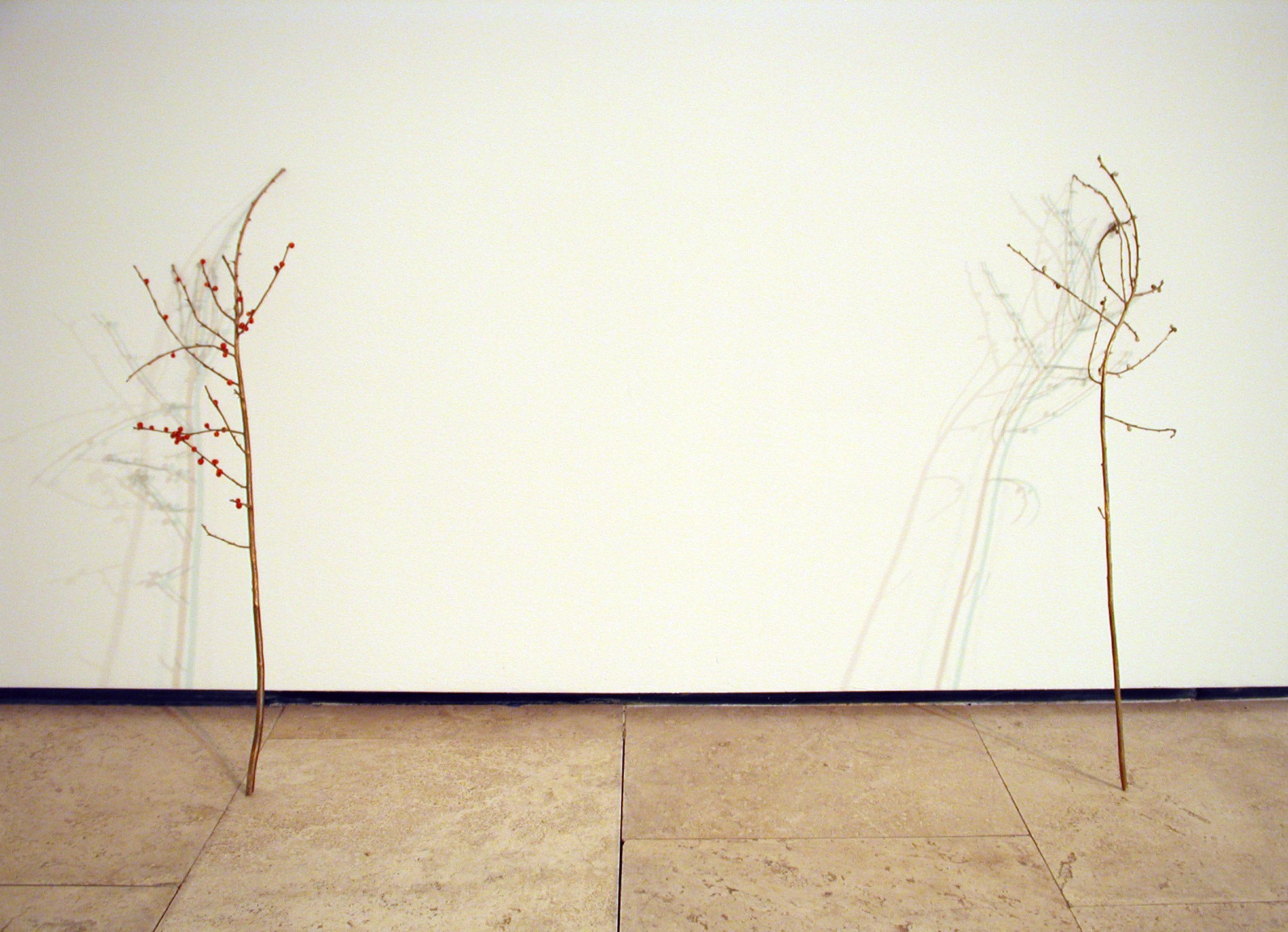 Installation view of Anya Gallaccio at Lehmann Maupin New York
