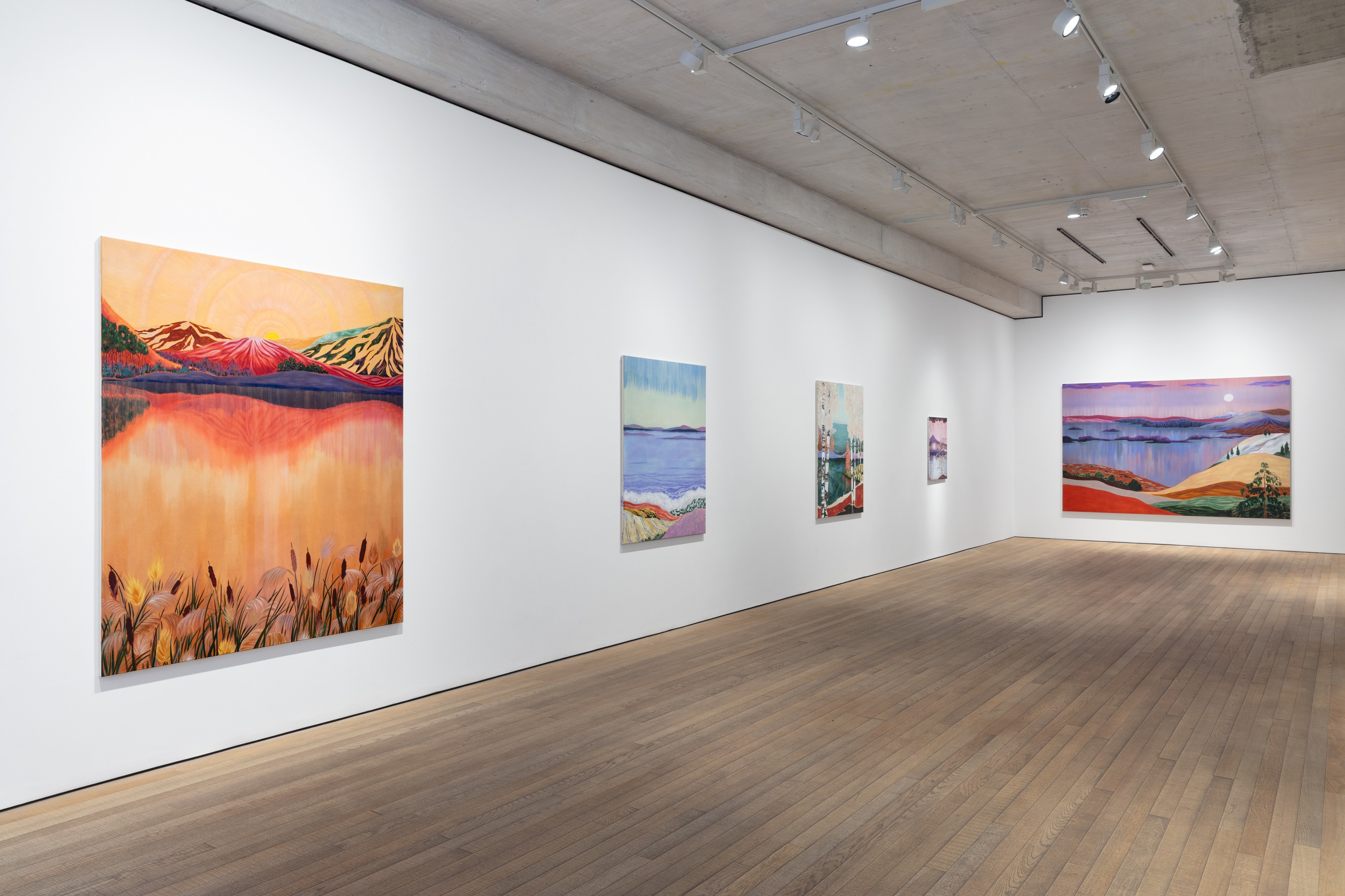 Installation view of Freya Douglas-Morris at Lehmann Maupin London