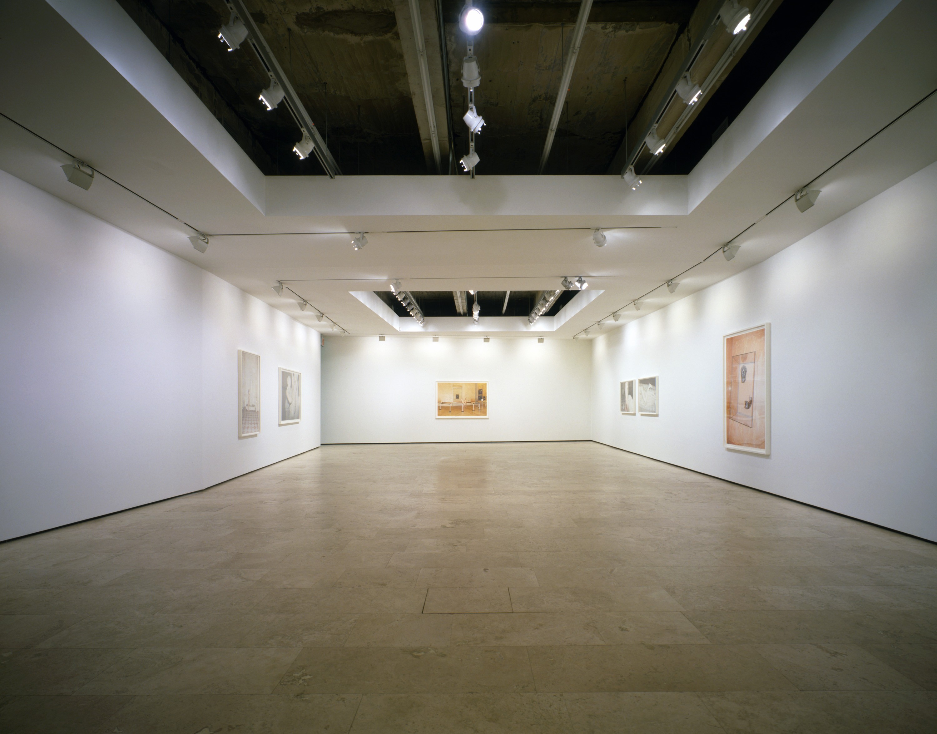 Installation view of Paradis at Lehmann Maupin New York
