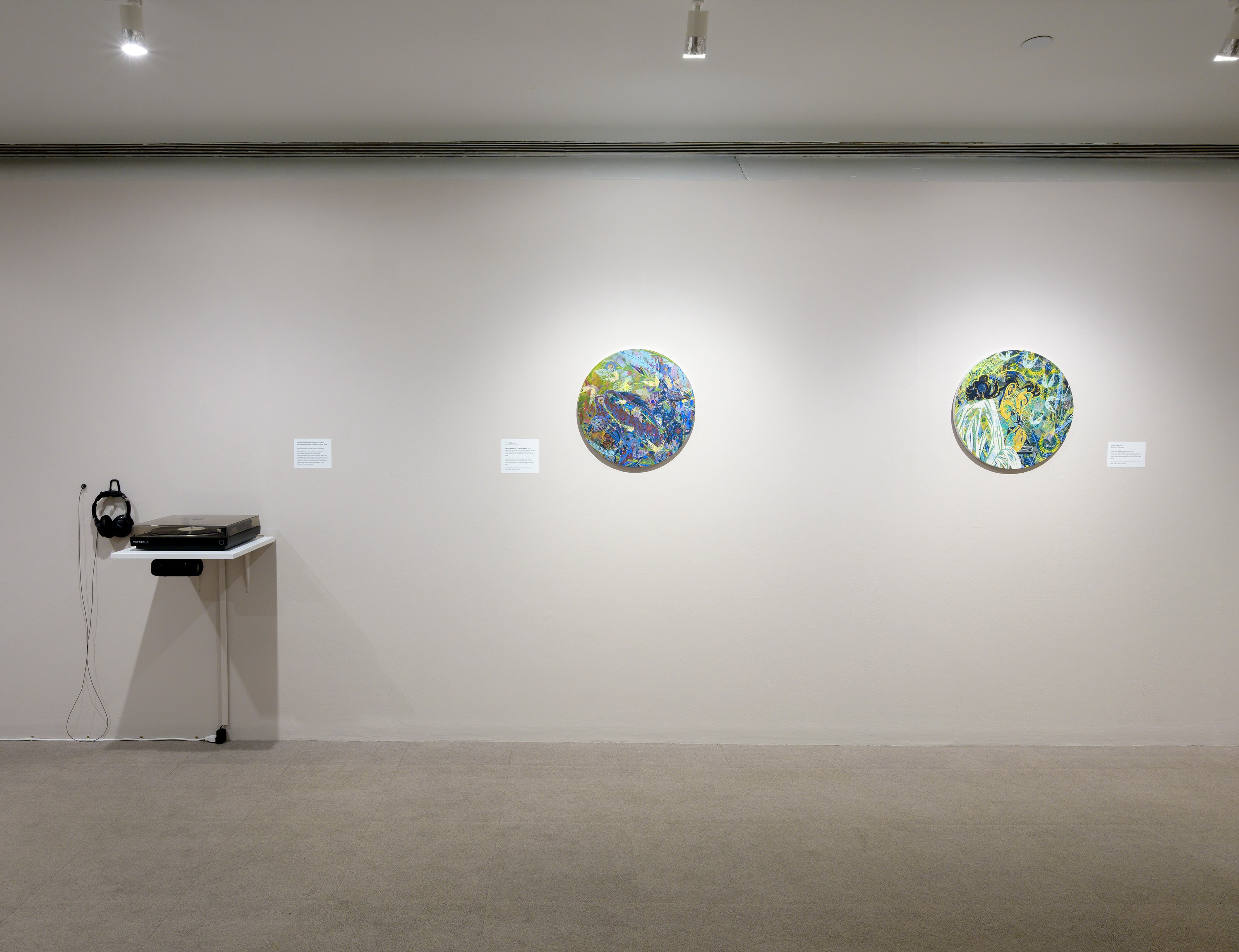 Installation view of The Political Uses of Madness at UMass Amherst