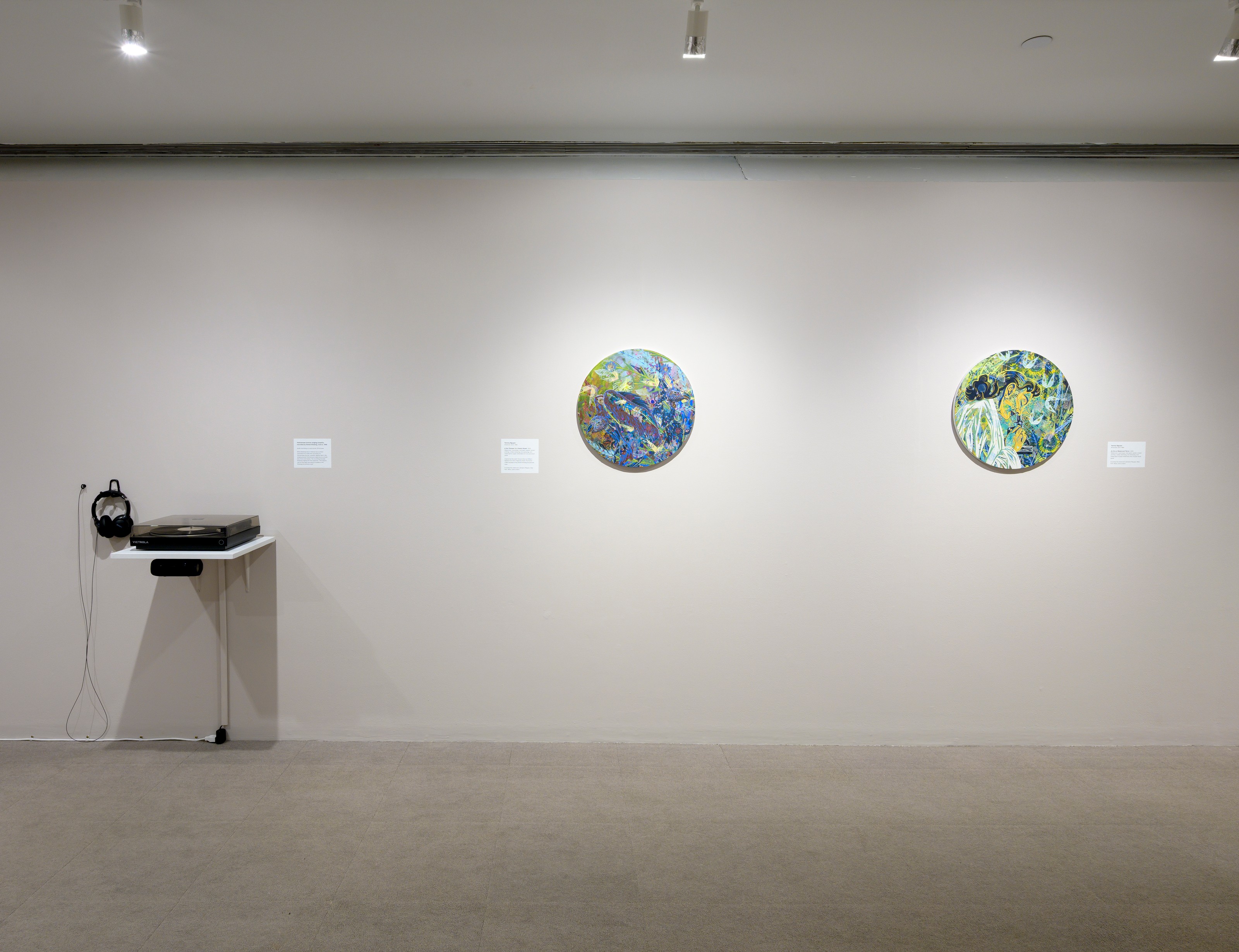 Installation view of The Political Uses of Madness at UMass Amherst