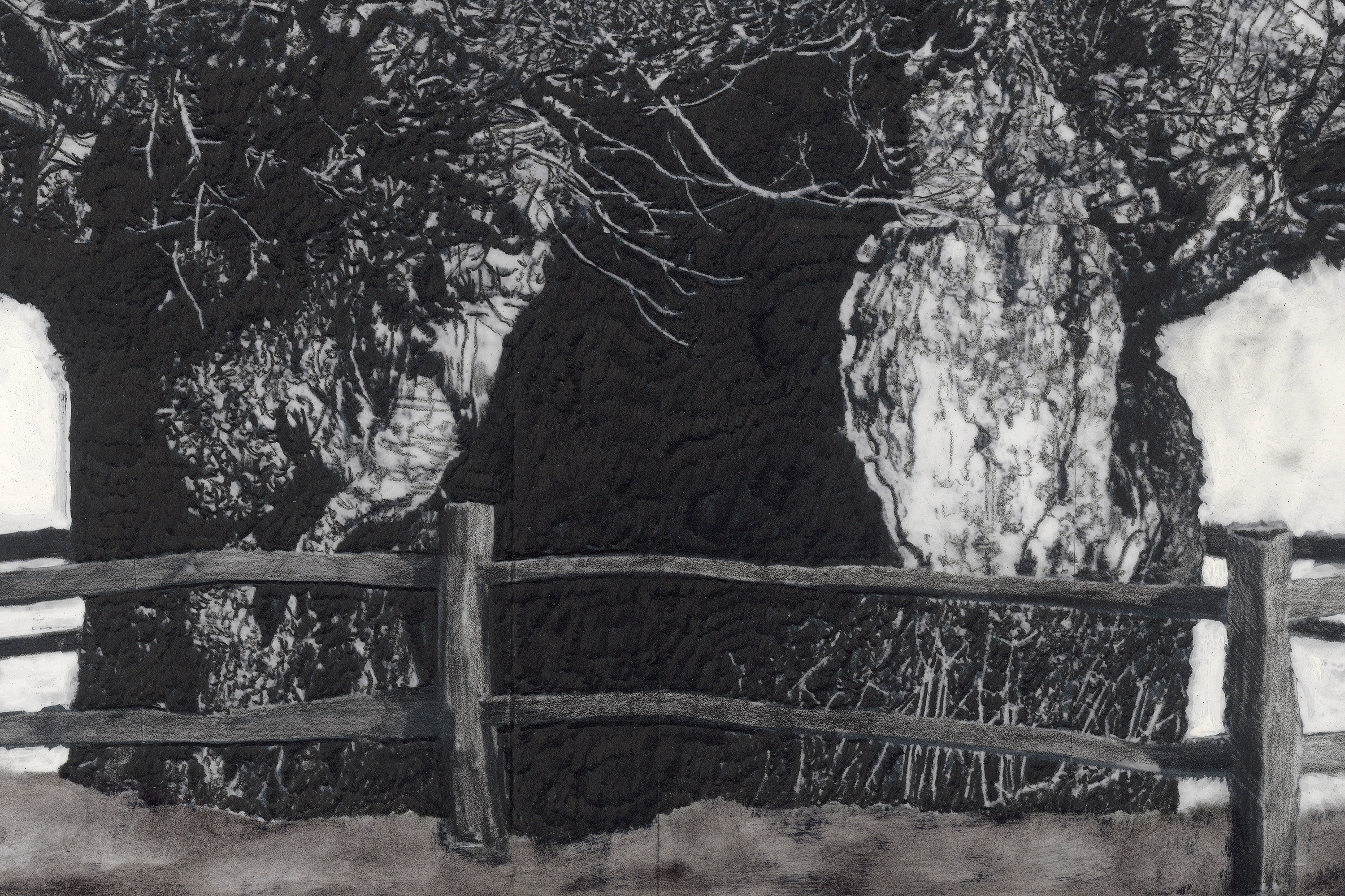 Drawing by Patrick Van Caeckenberg