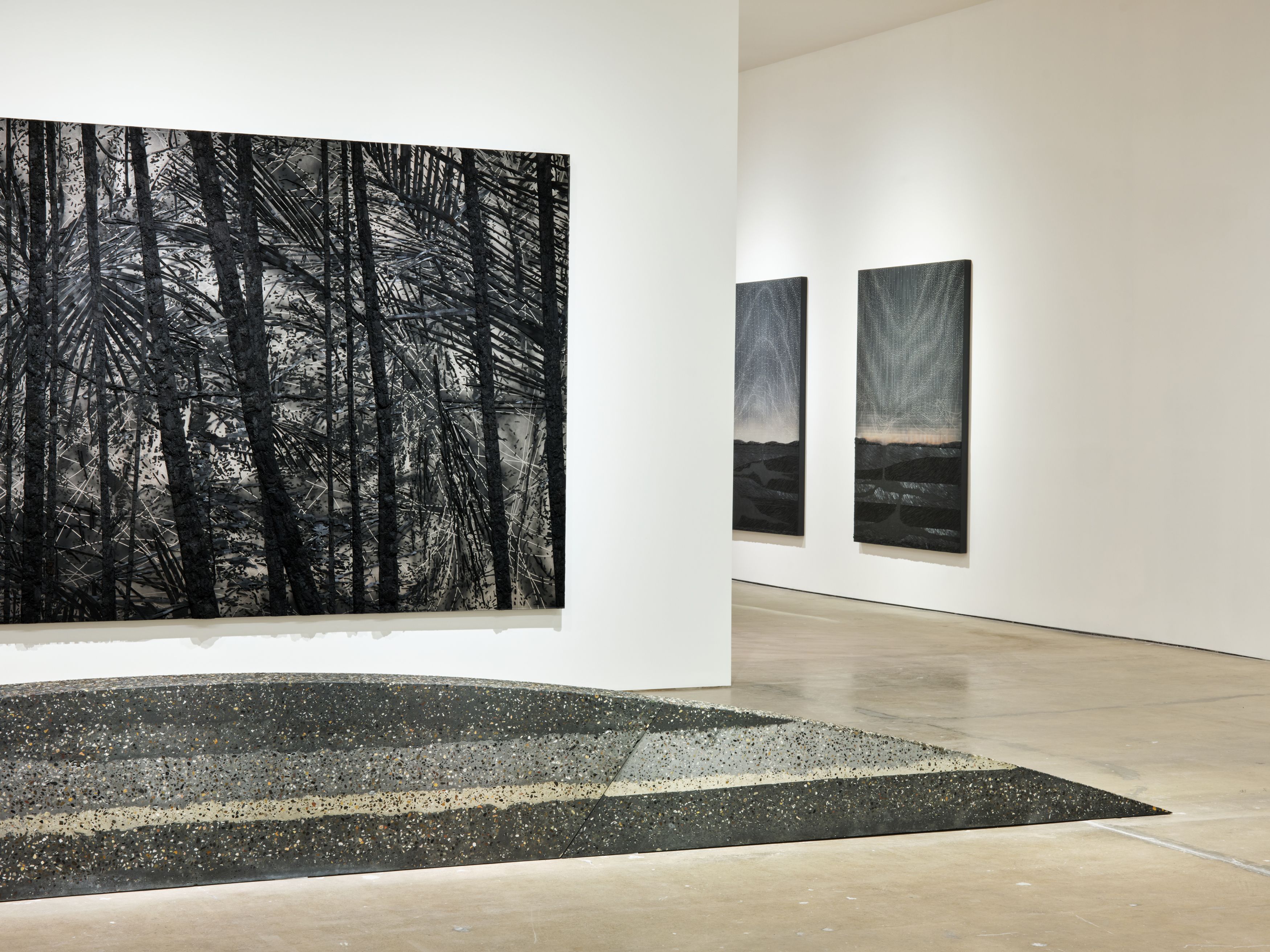 Exhibition by Teresita Fernández