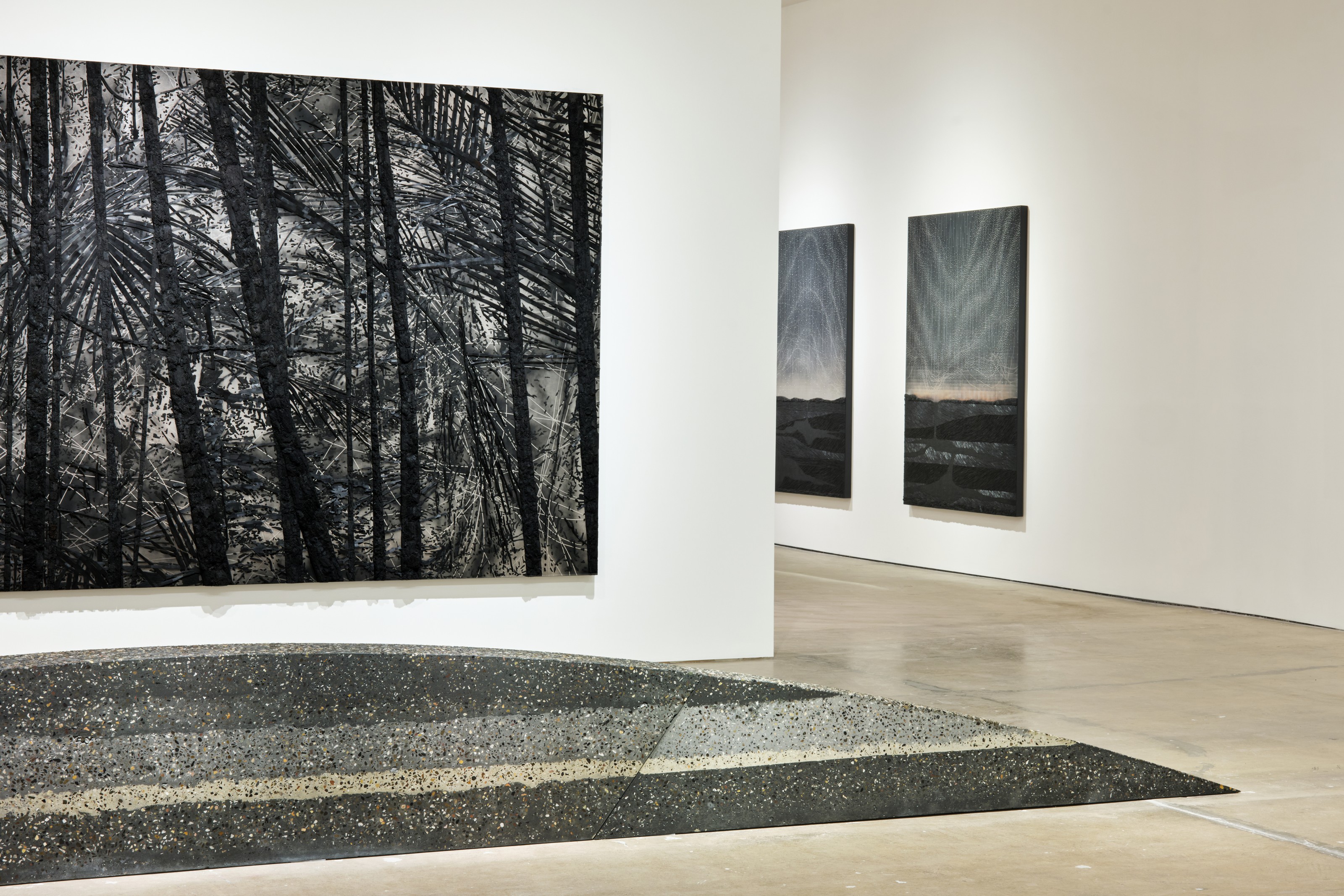 Exhibition by Teresita Fernández