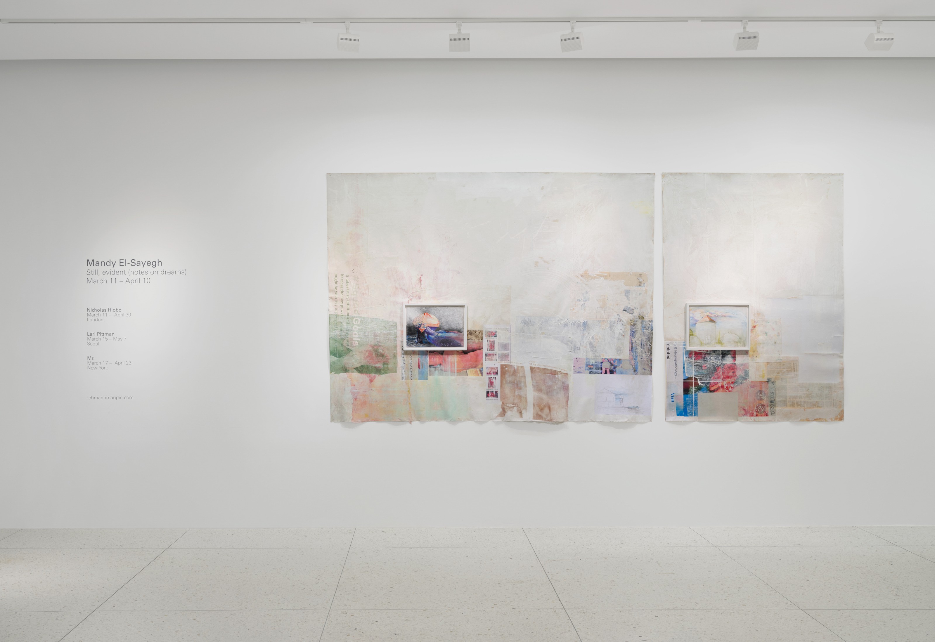Installation view of Mandy El-Sayegh at Lehmann Maupin Palm Beach