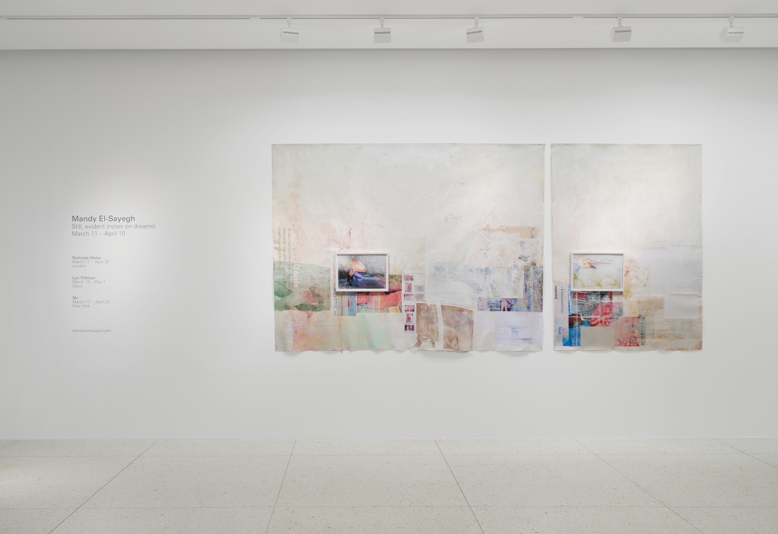 Installation view of Mandy El-Sayegh at Lehmann Maupin Palm Beach