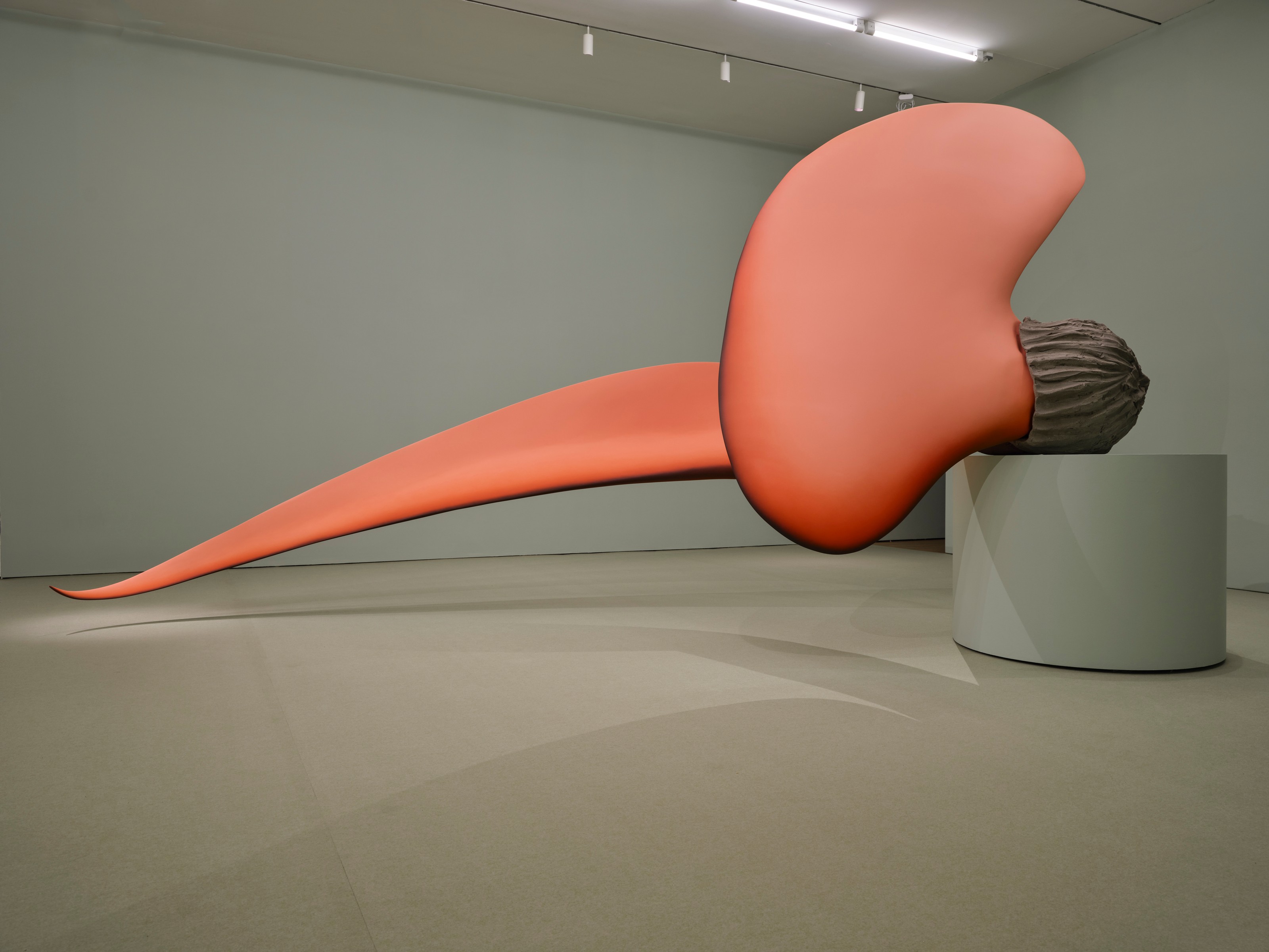 Installation view of Teresa Solar Abboud at Lehmann Maupin New York