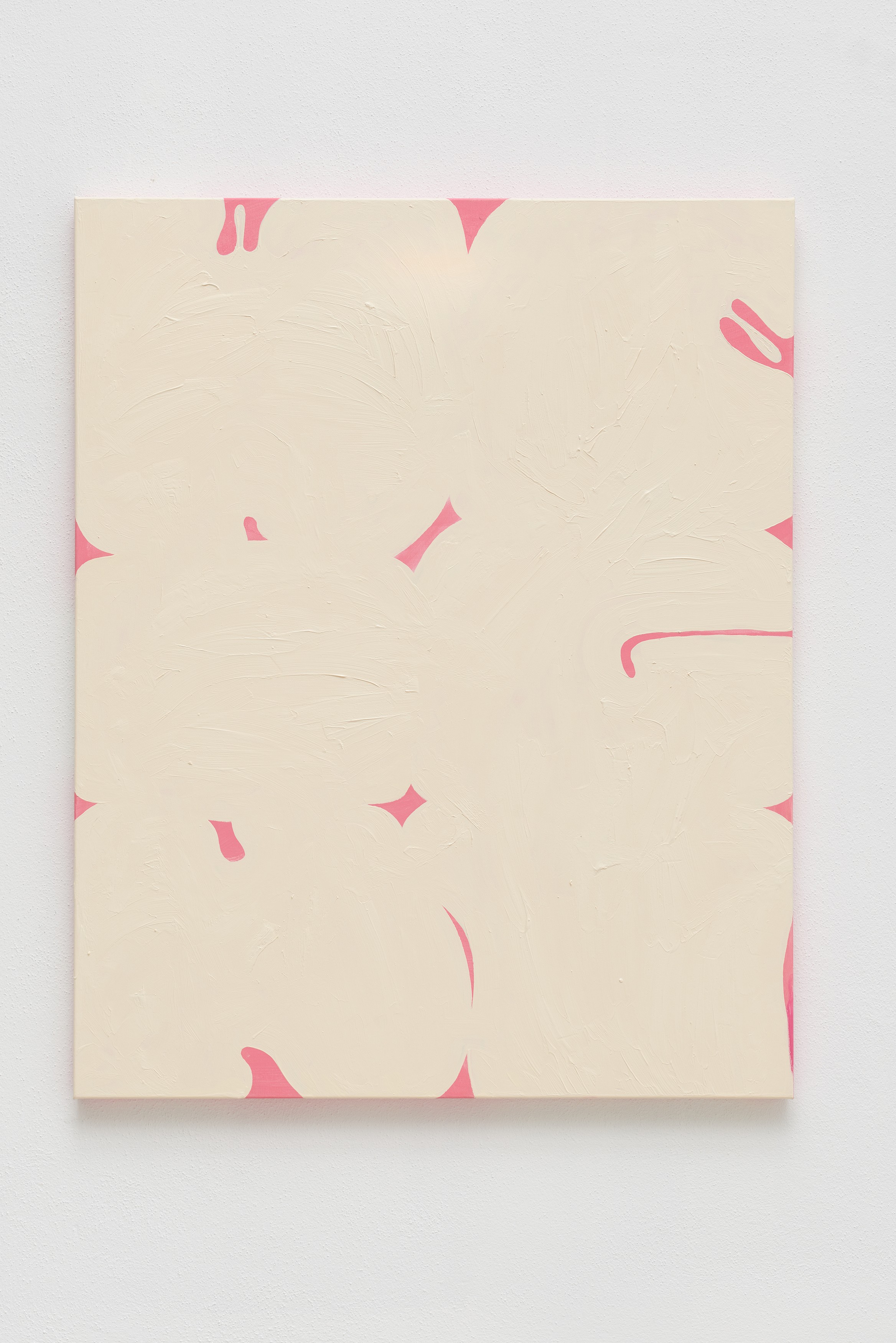 Work on canvas by Erwin Wurm