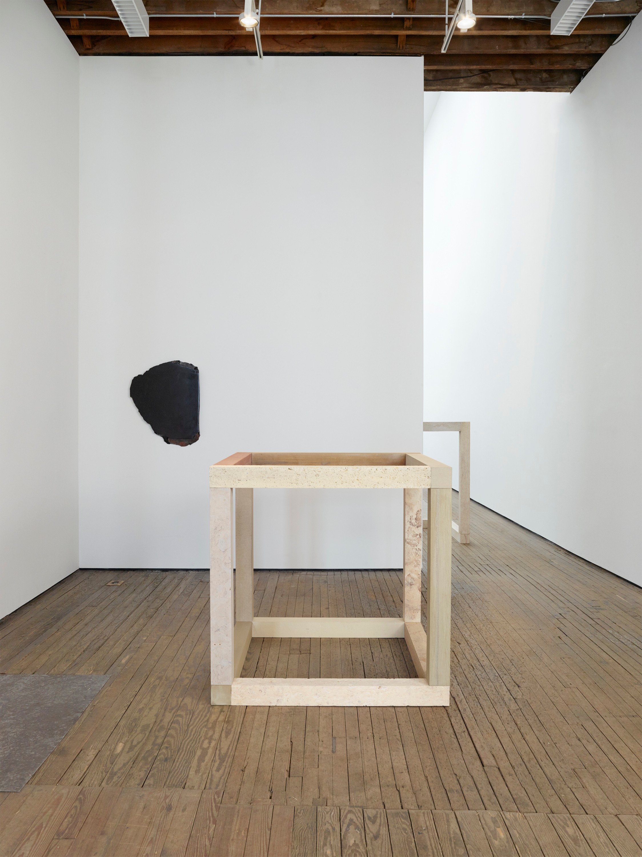 Installation view of Anya Gallaccio at Lehmann Maupin New York