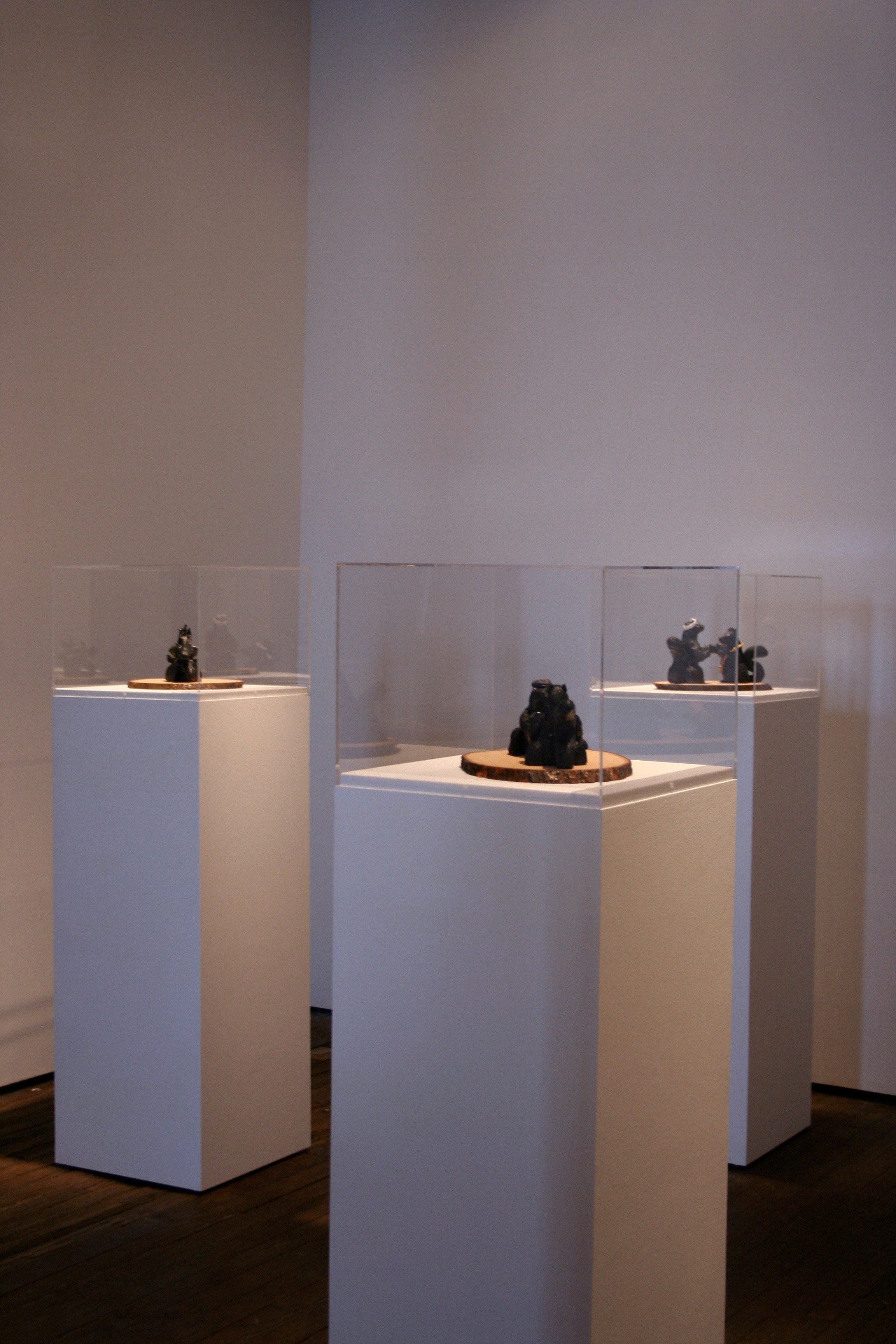 Installation view of Black Squirrel Society at Lehmann Maupin New York