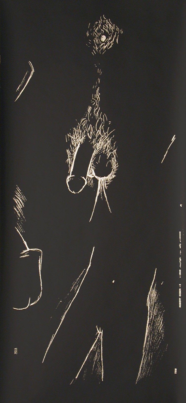 Print by Robert Gober