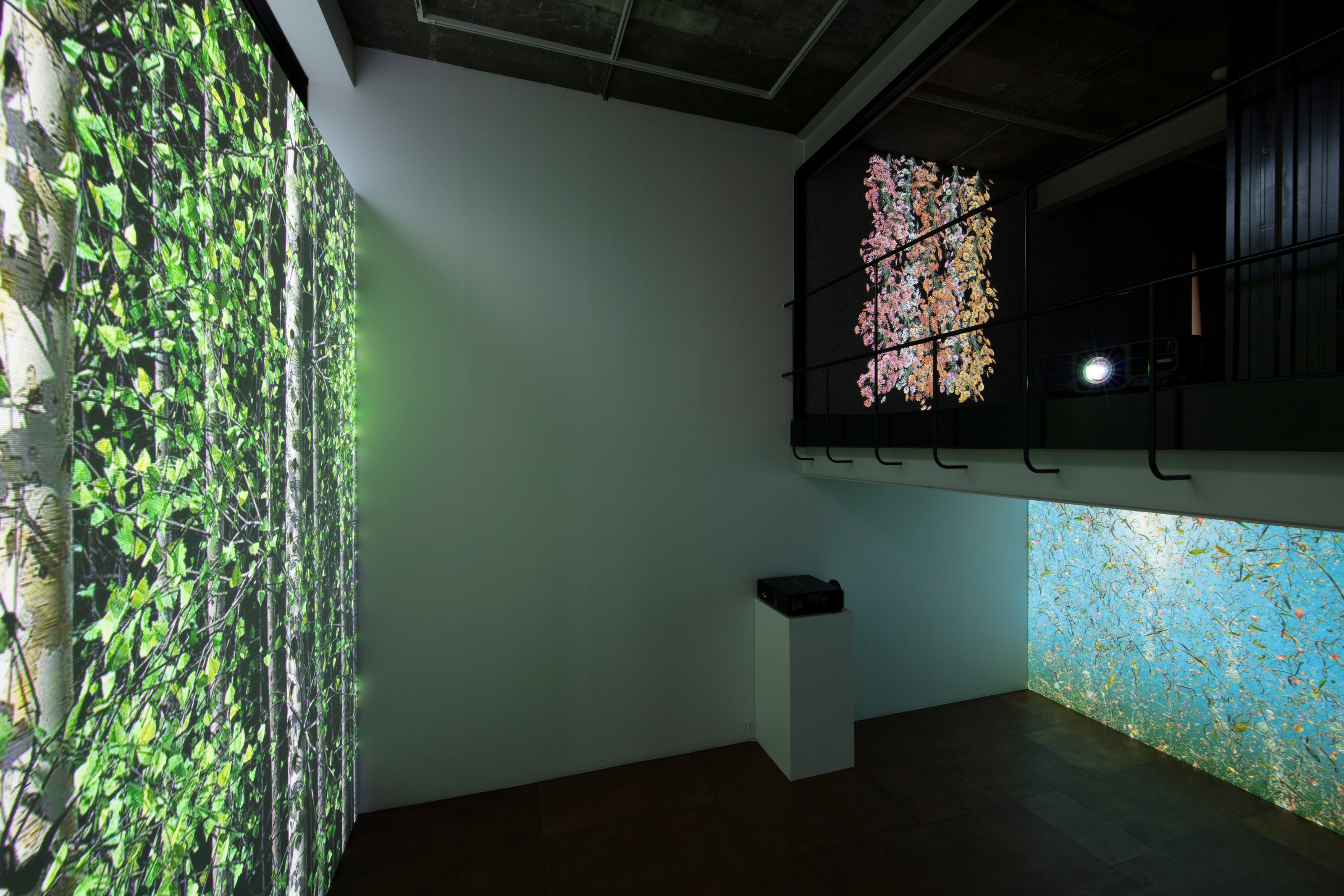 Installation view of Jennifer Steinkamp at Lehmann Maupin Seoul