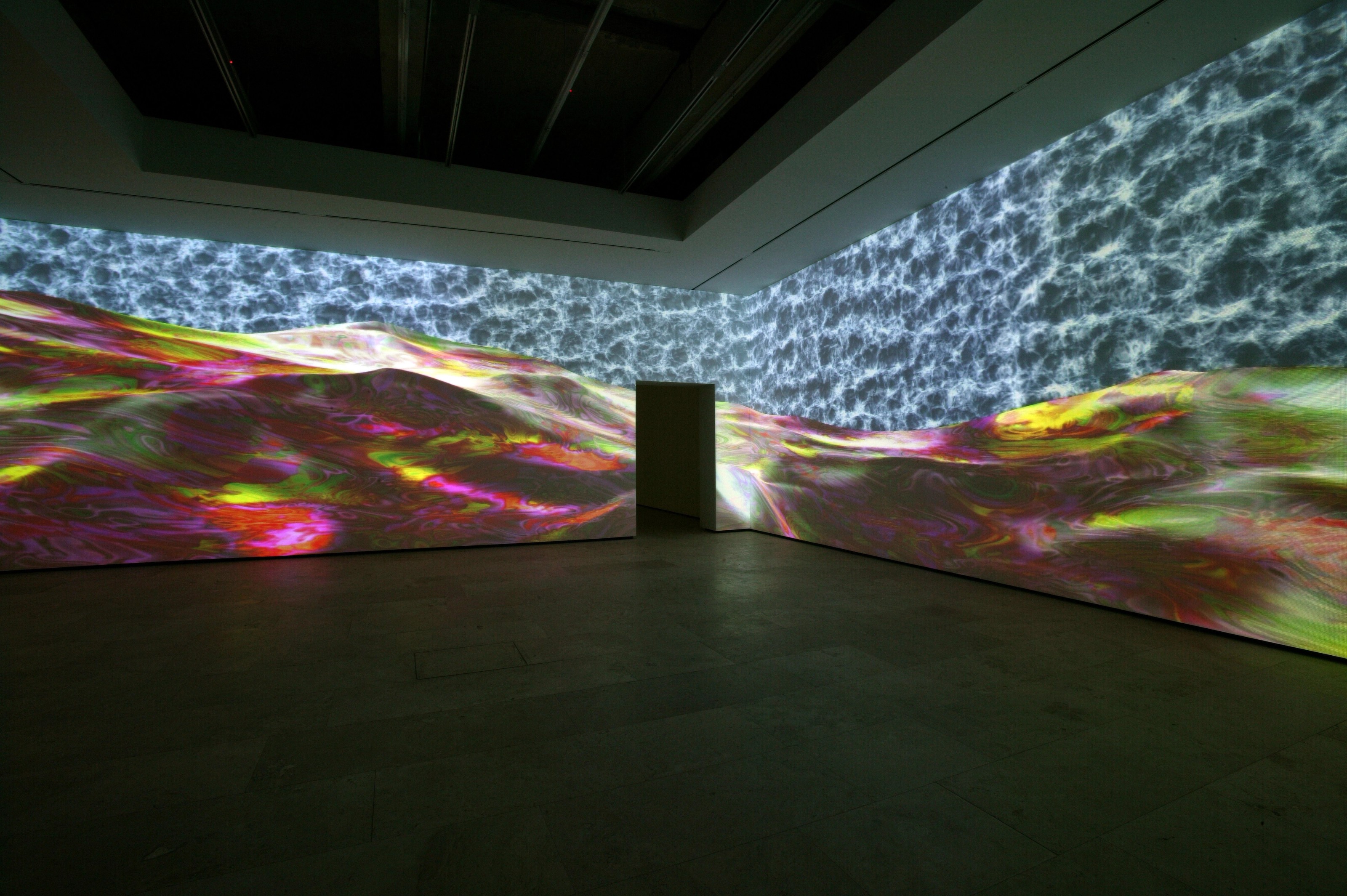 Installation view of Jennifer Steinkamp at Lehmann Maupin New York
