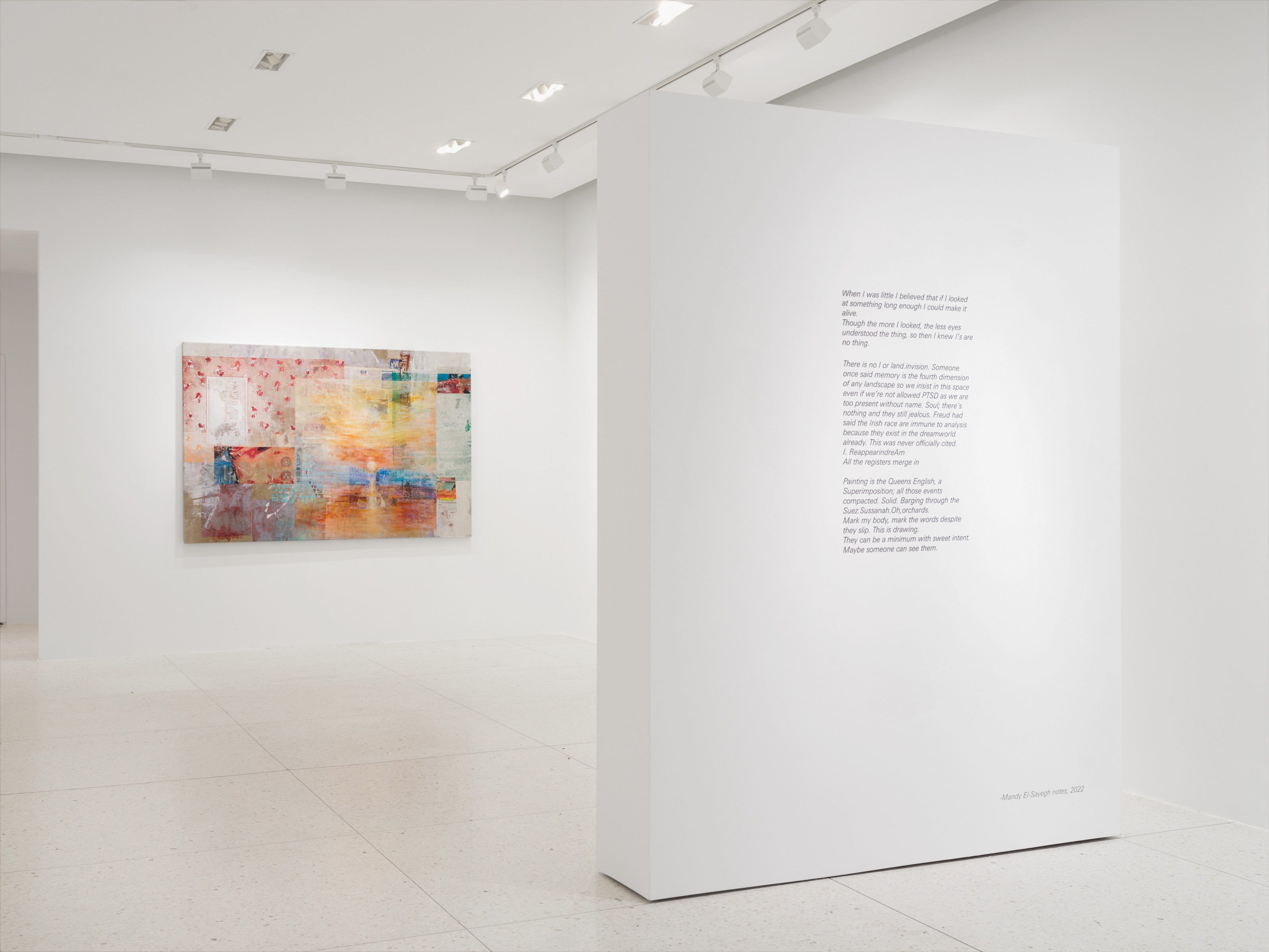 Installation view of Mandy El-Sayegh at Lehmann Maupin Palm Beach