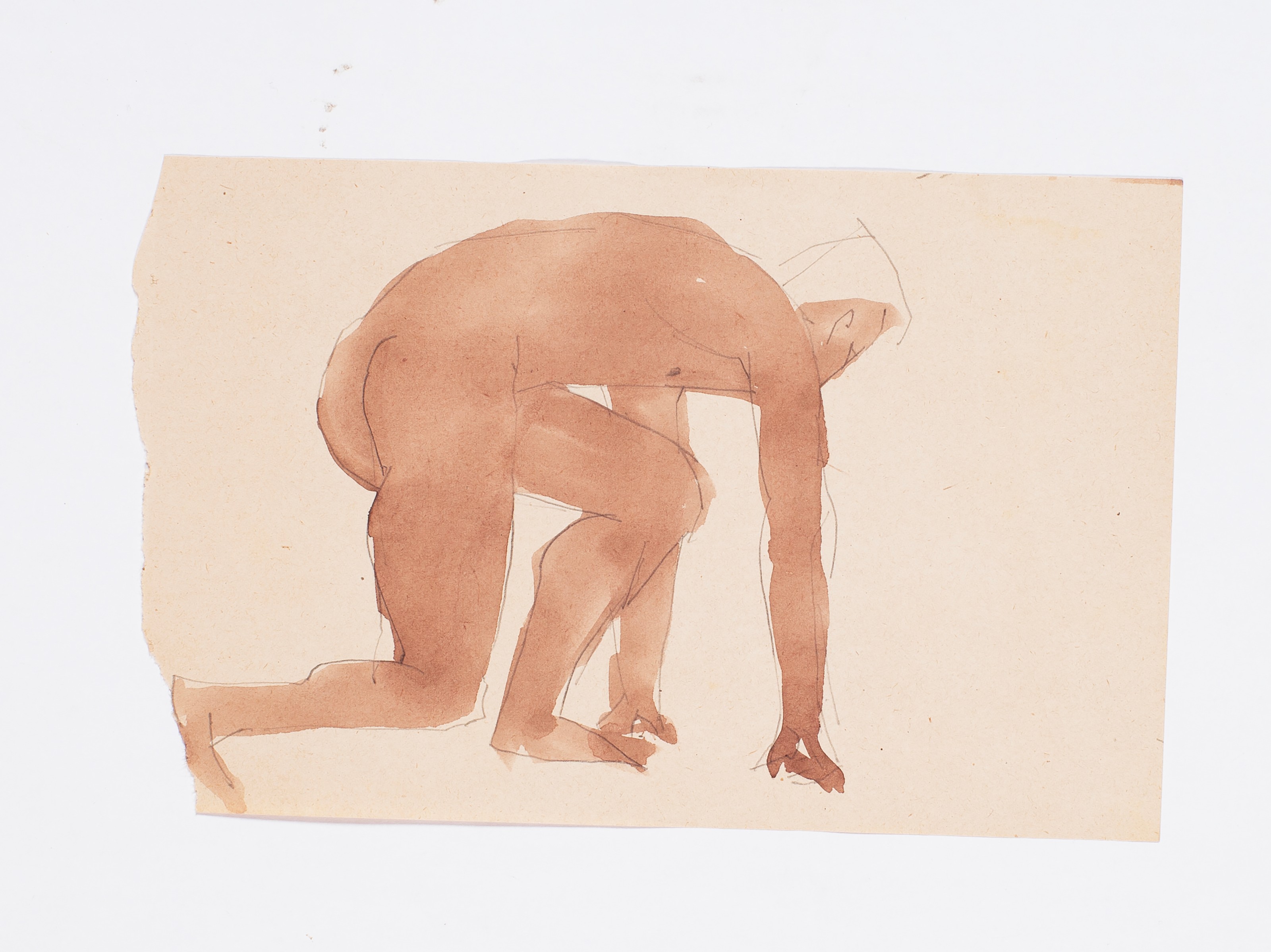 Work on paper by Heidi Bucher