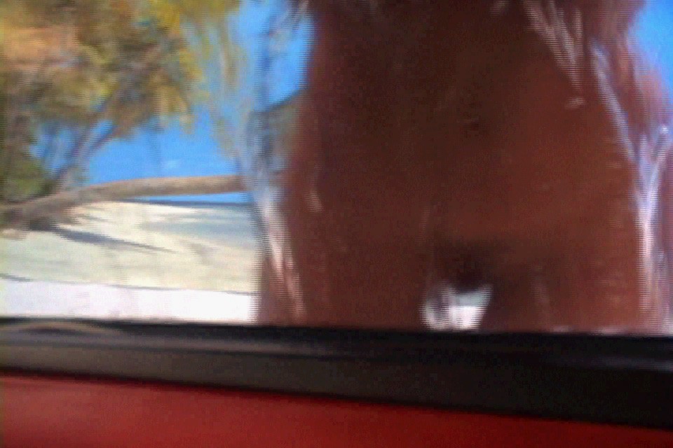 Video by Aaron Young
