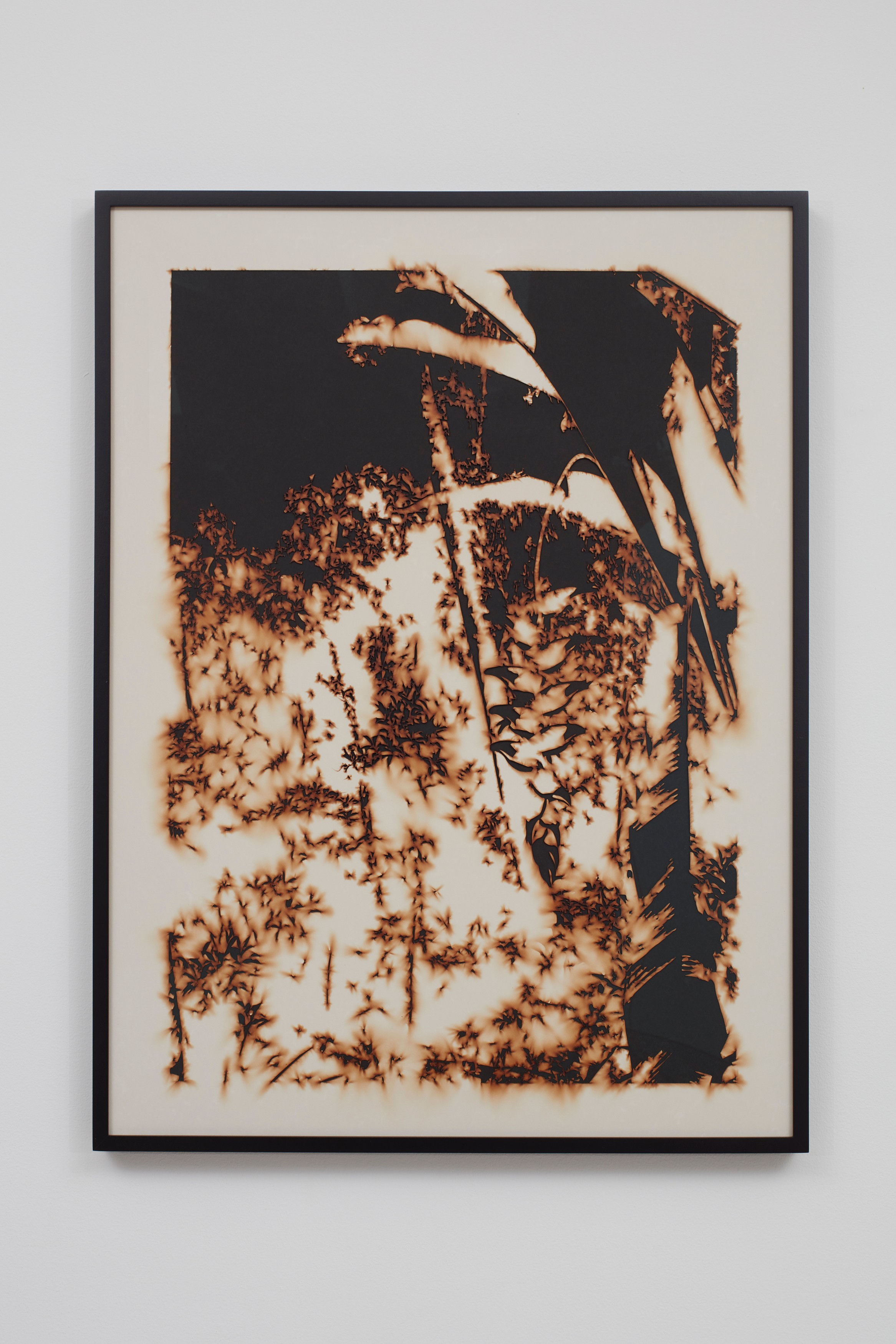 Work on paper by Teresita Fernández
