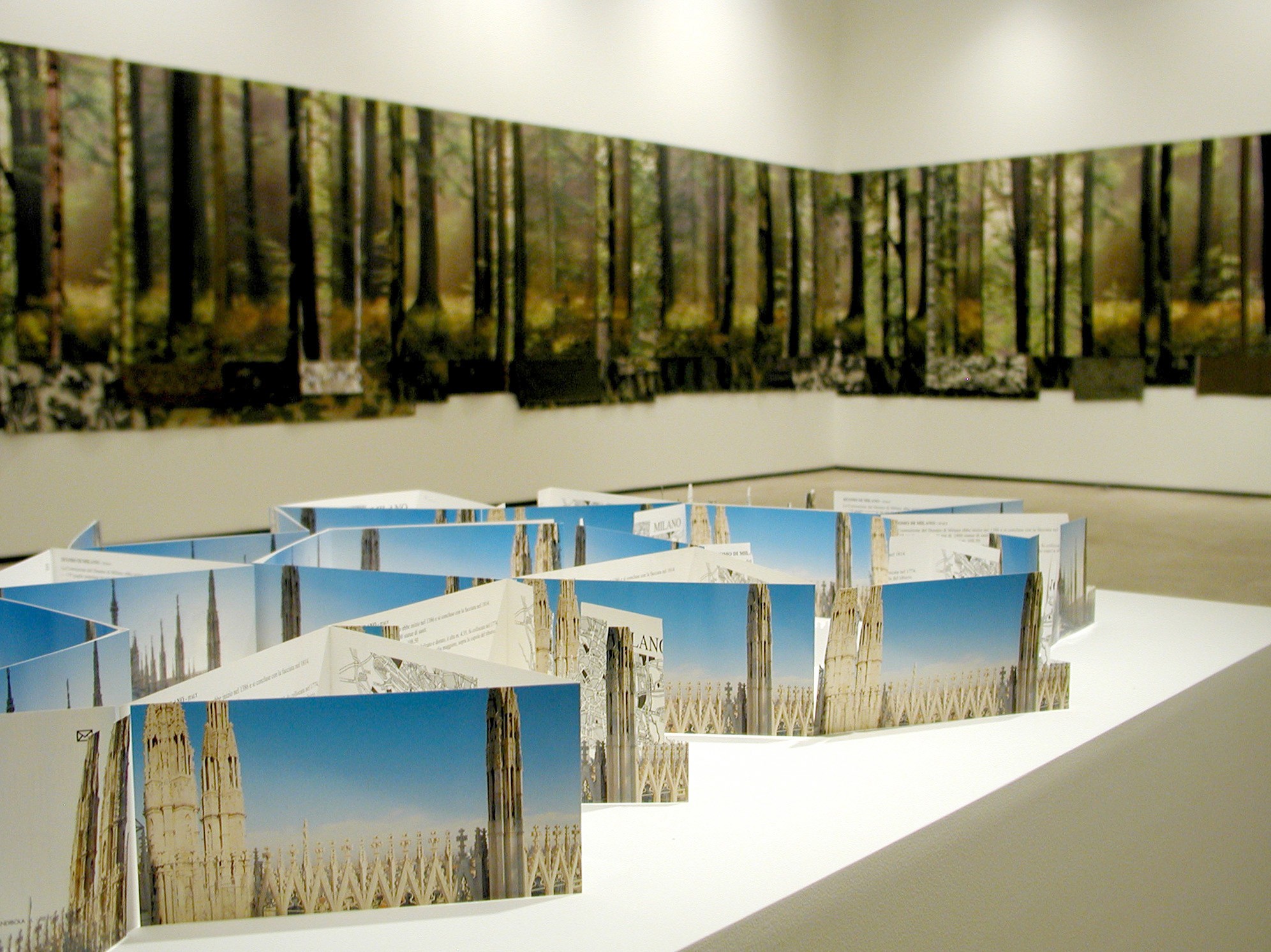 Installation view of Stefano Arienti at Lehmann Maupin New York