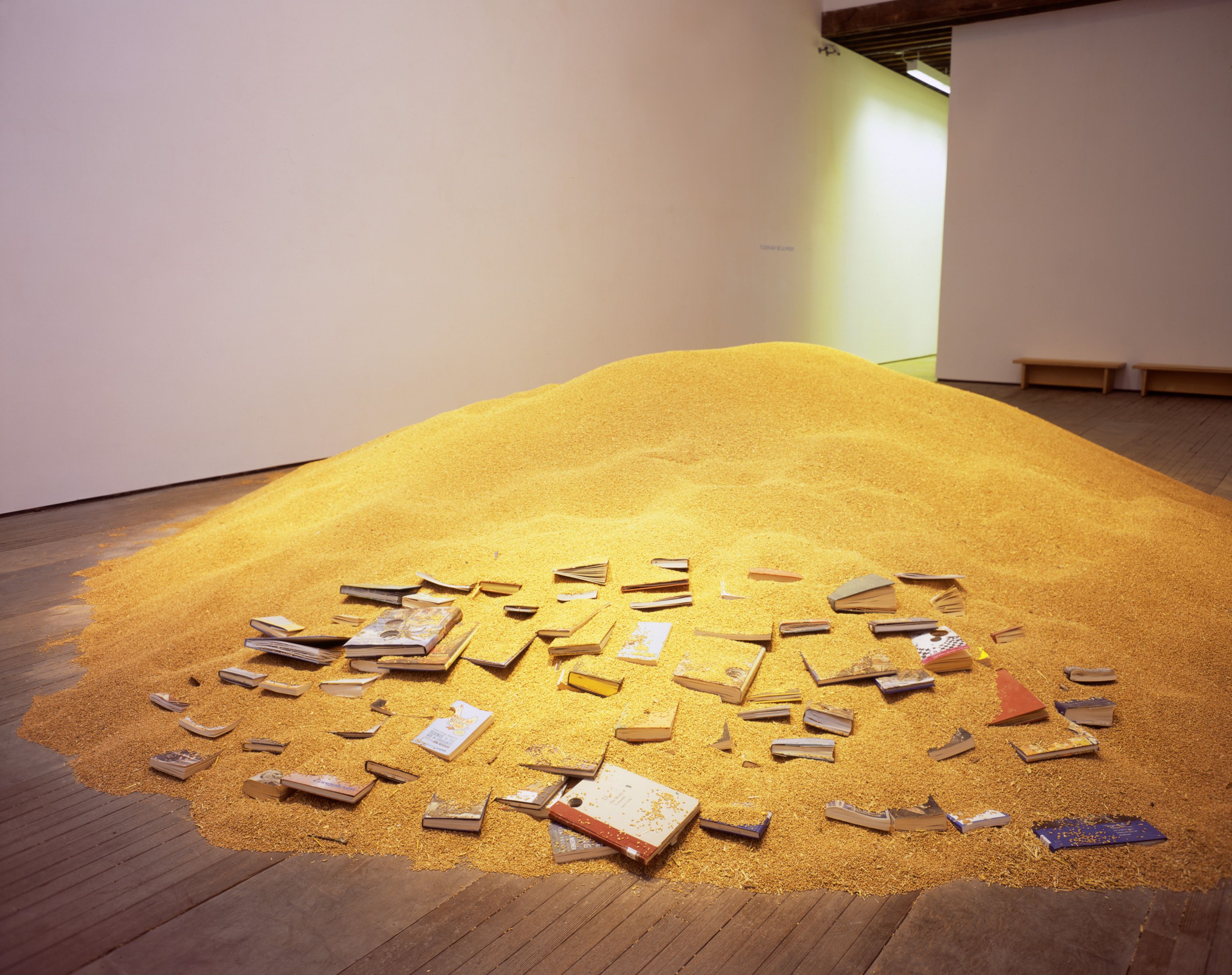 Installation view of Stefano Arienti at Lehmann Maupin New York