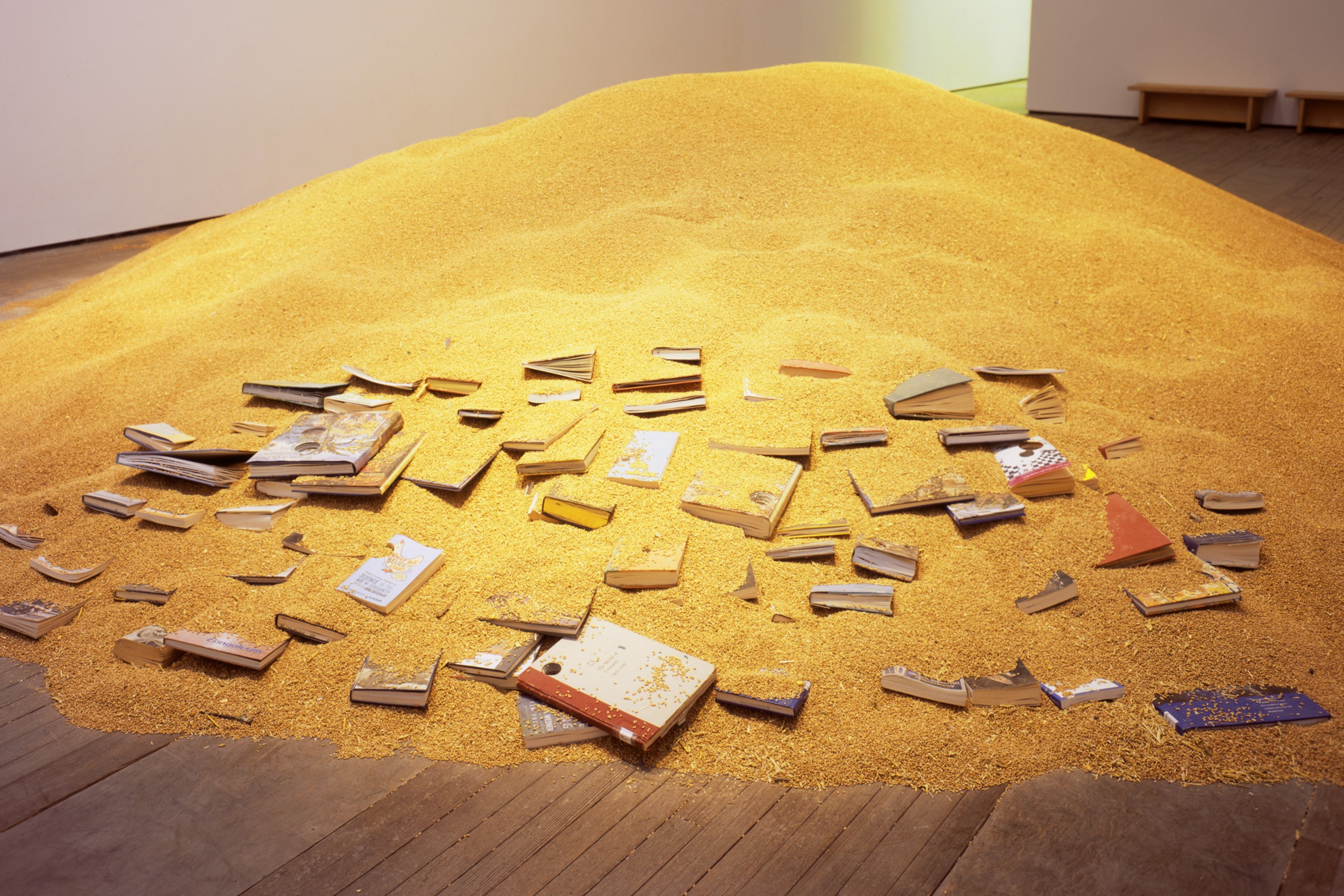 Installation view of Stefano Arienti at Lehmann Maupin New York