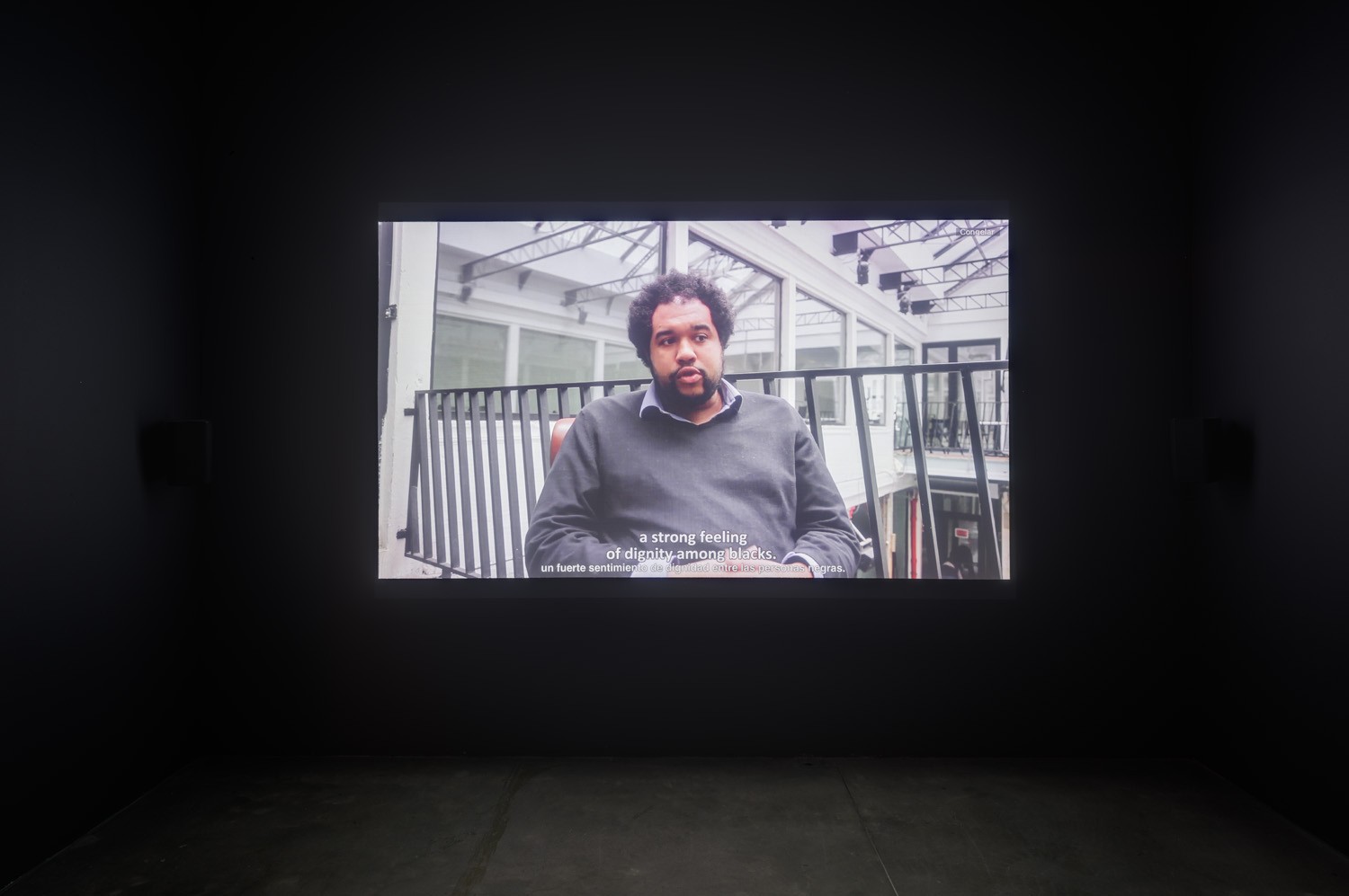 Kader Attia: A Descent into Paradise