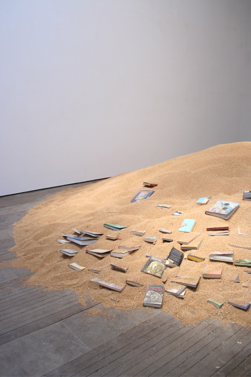 Installation view of Stefano Arienti at Lehmann Maupin New York