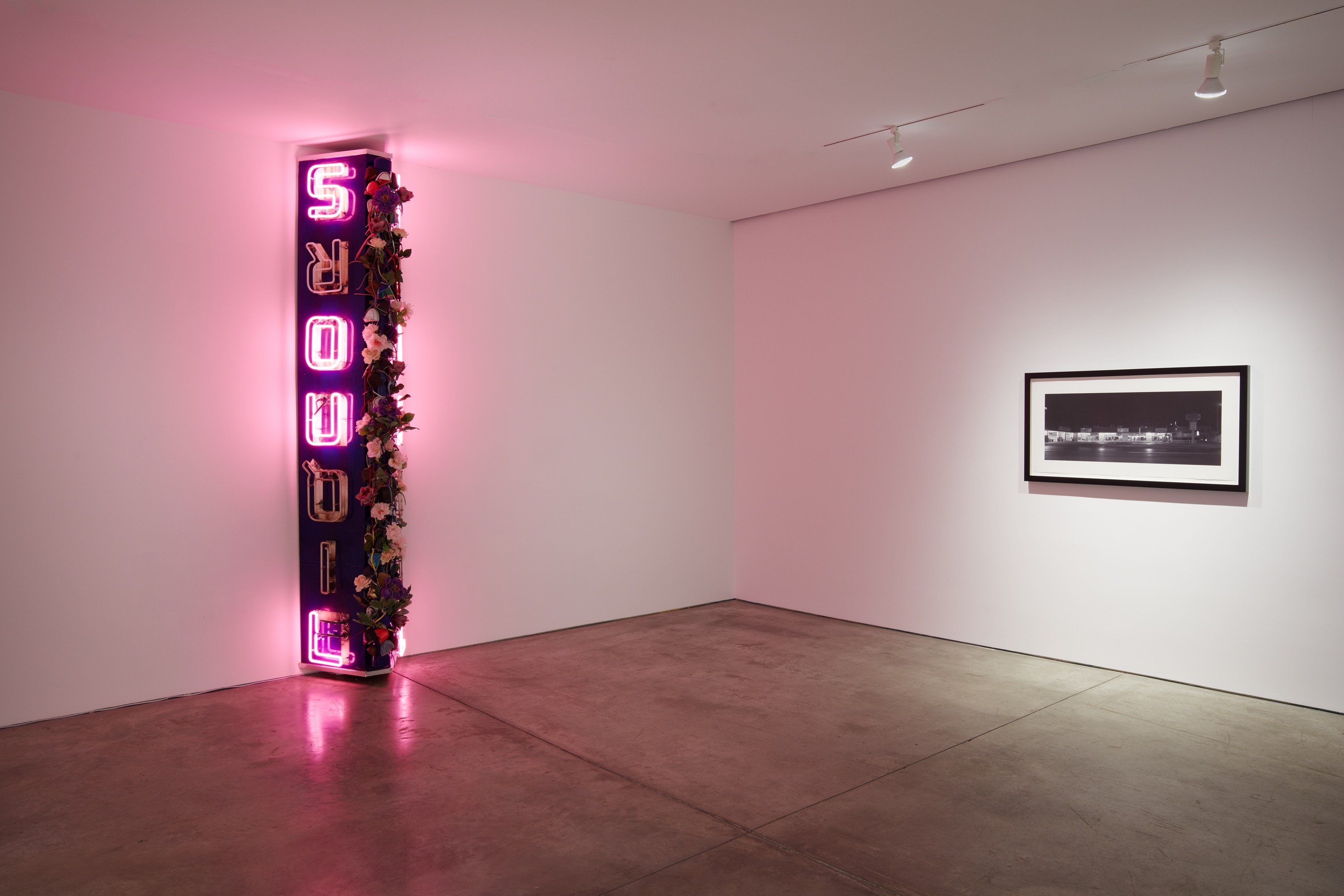 Installation view of American Landscape at Lehmann Maupin New York