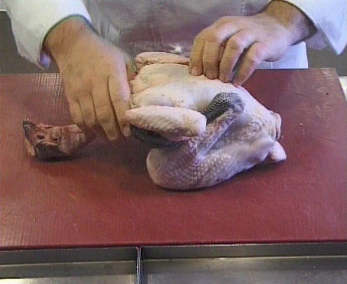 Video by Marie José Burki