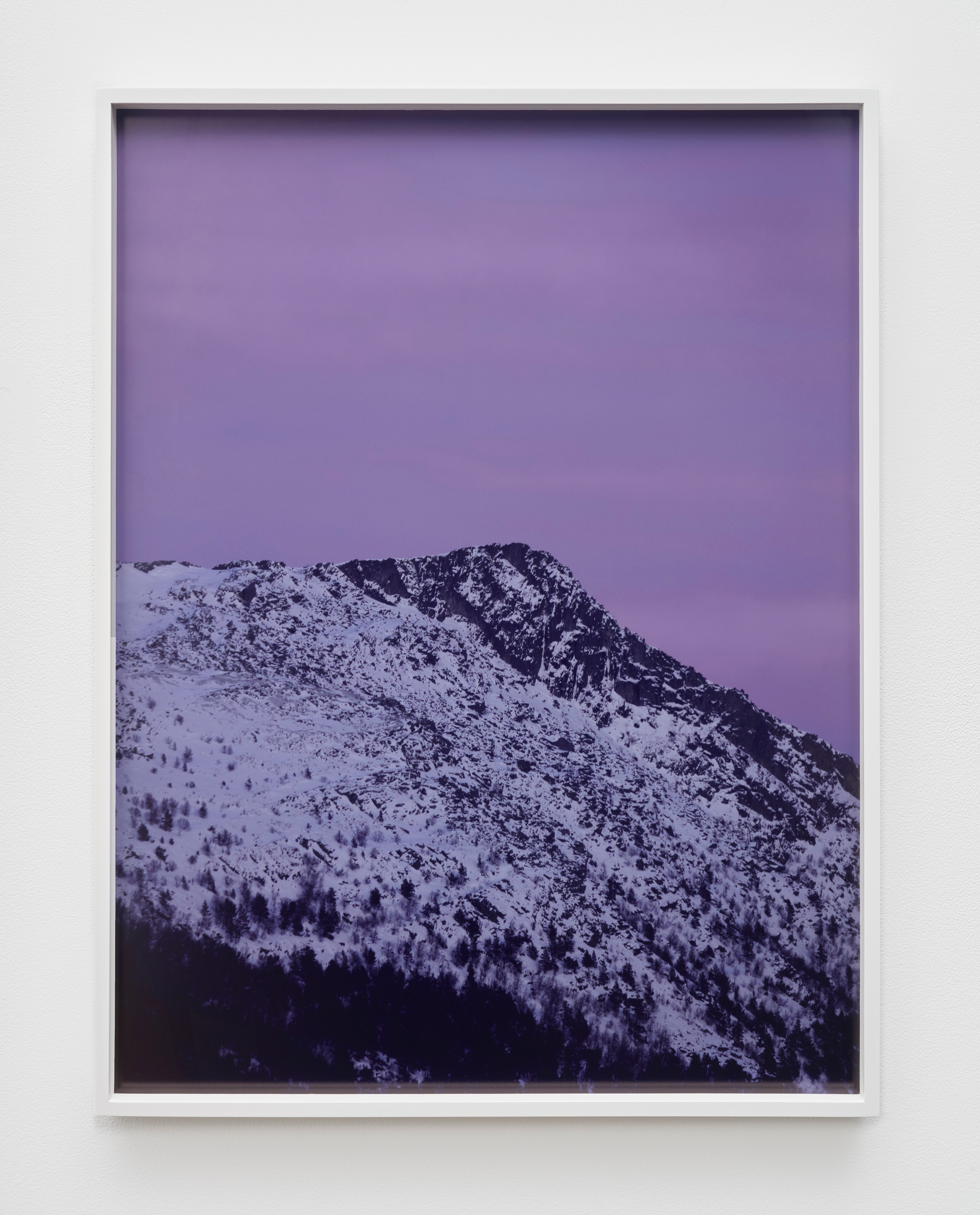 Photograph by Catherine Opie