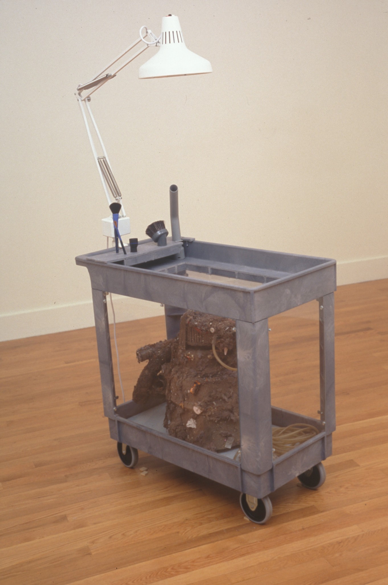 Installation view of Episodes: Bus Park & Forevermore at Isabella Stewart Gardner Museum