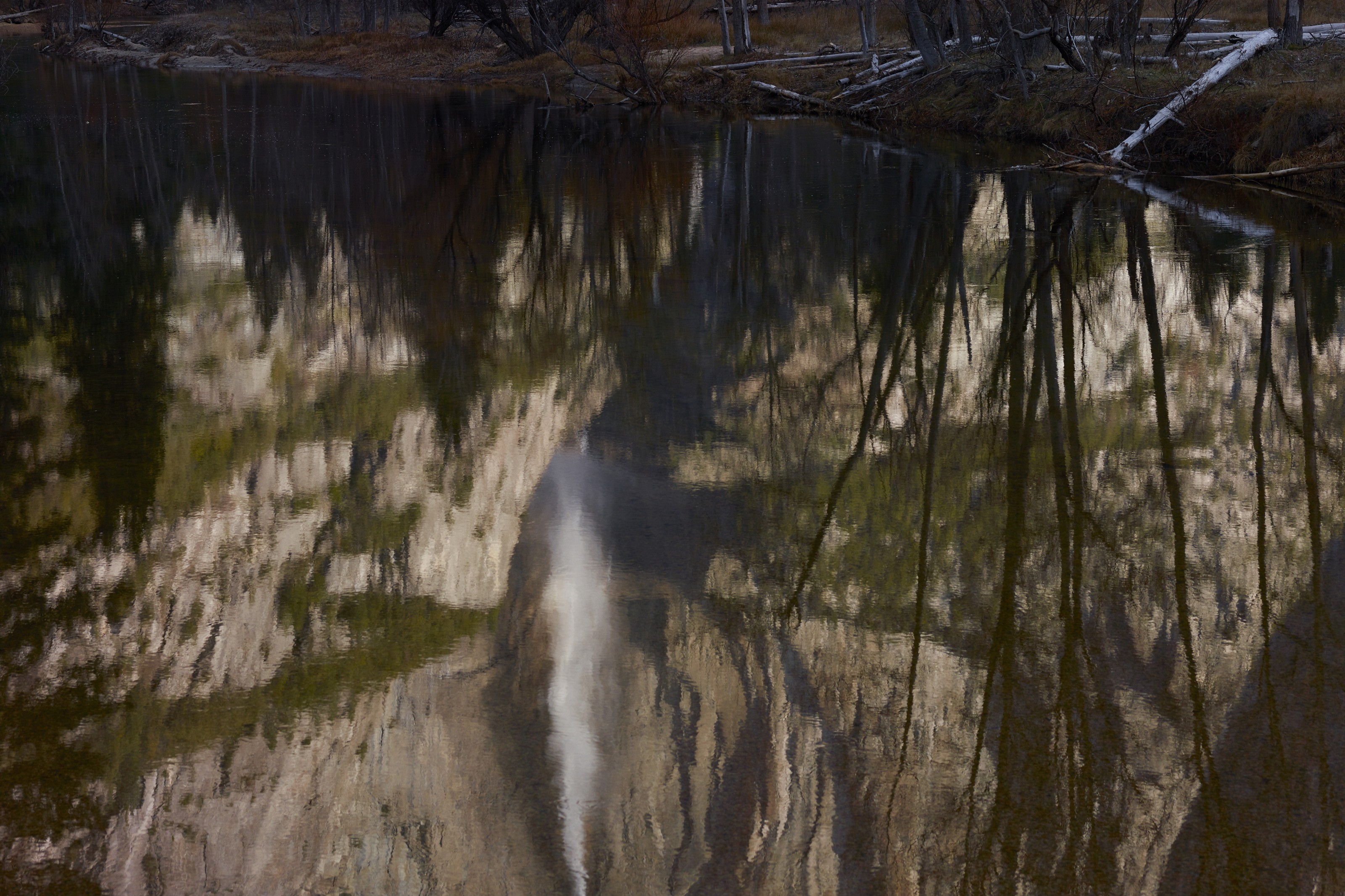 Photograph by Catherine Opie