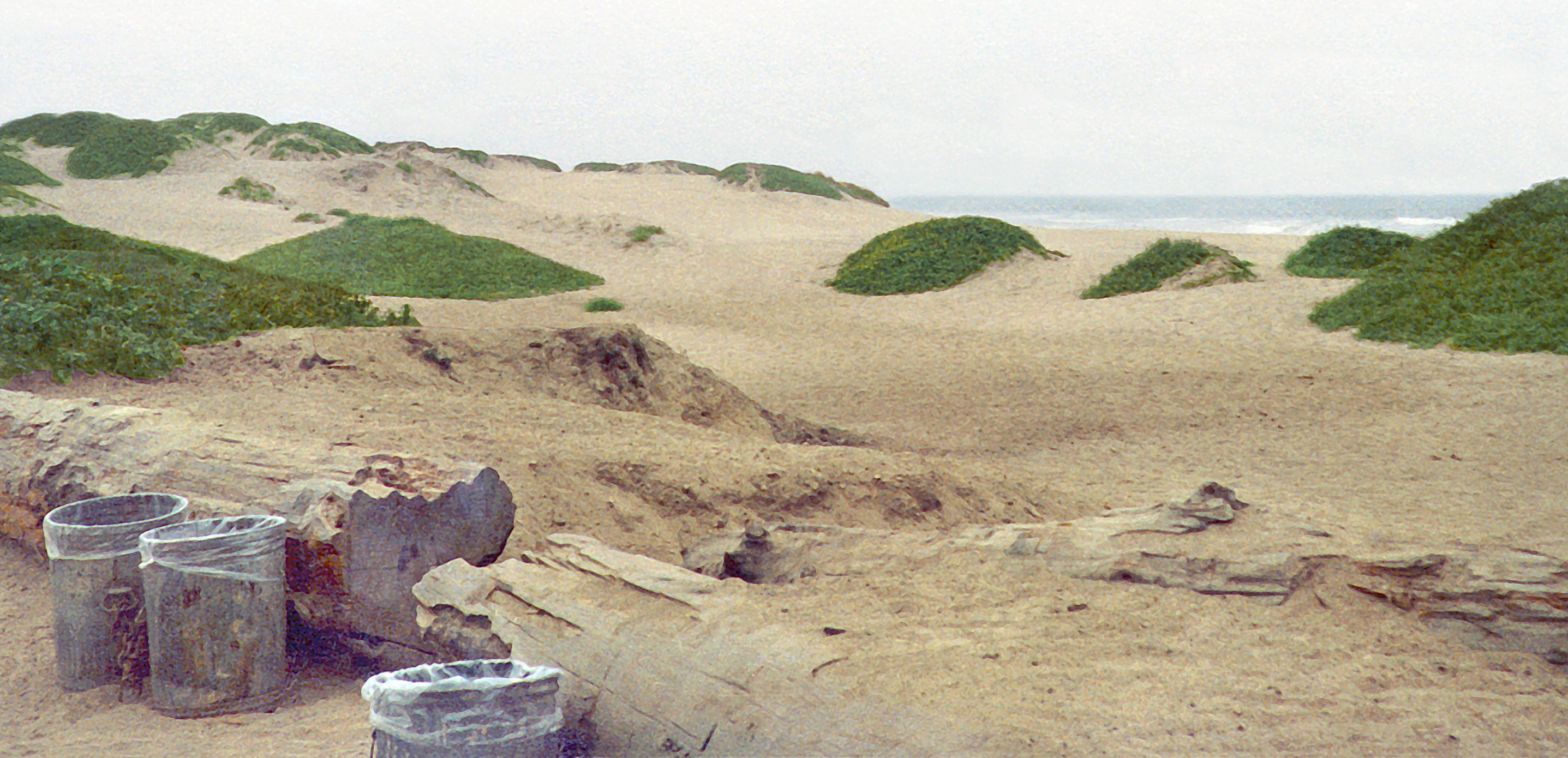 Photograph by Jörg Sasse