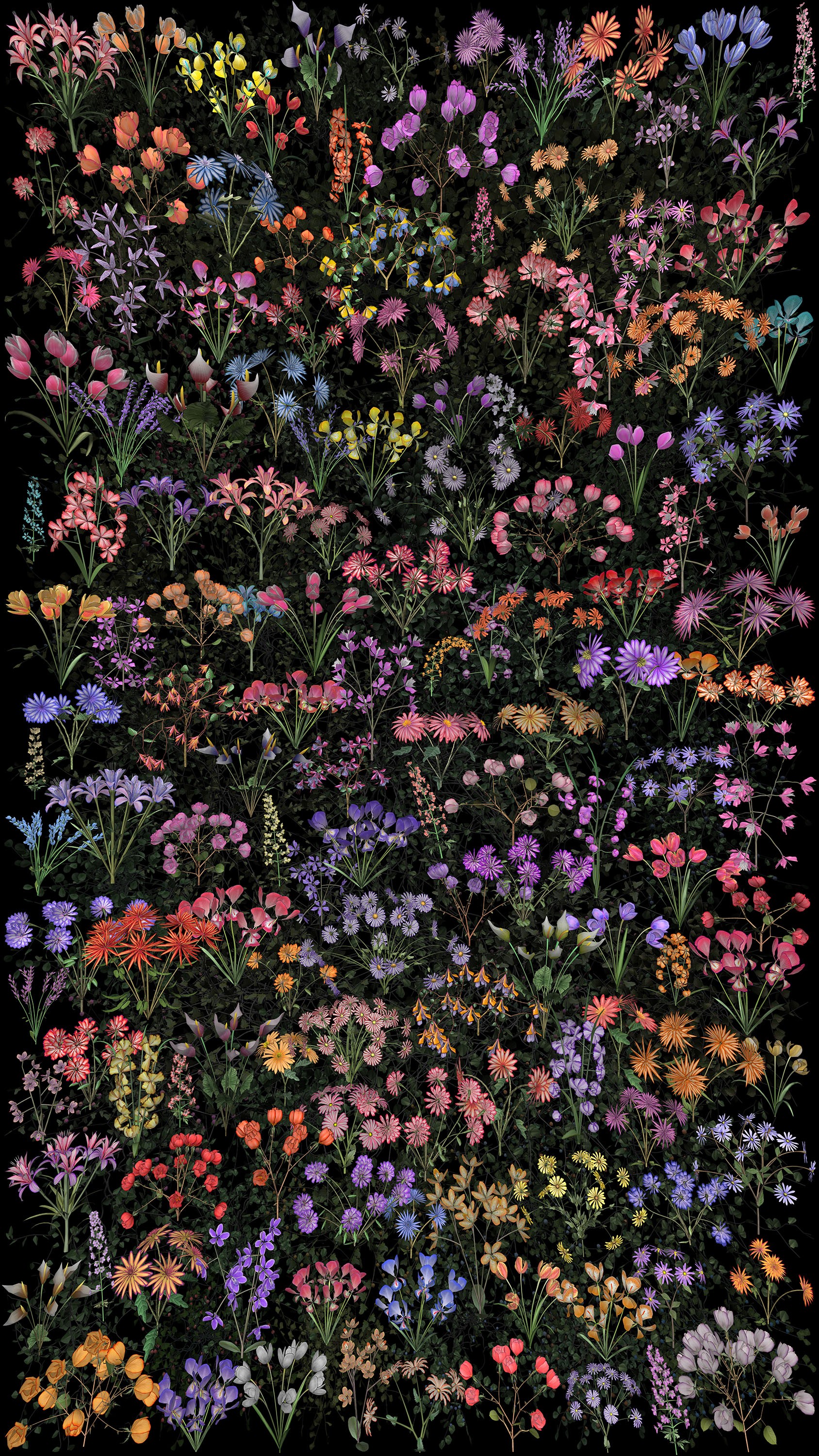 Video still by Jennifer Steinkamp