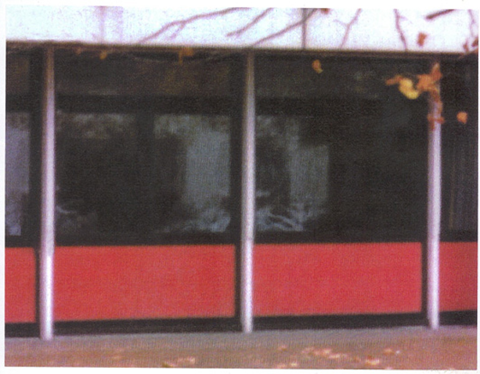 Photograph by Jörg Sasse