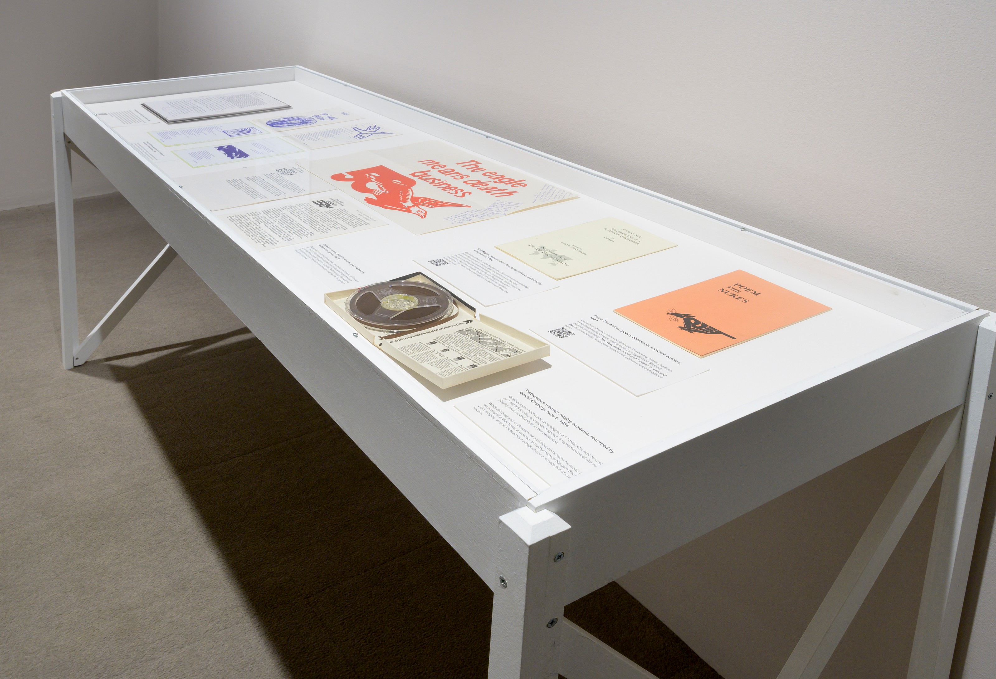 Installation view of The Political Uses of Madness at UMass Amherst
