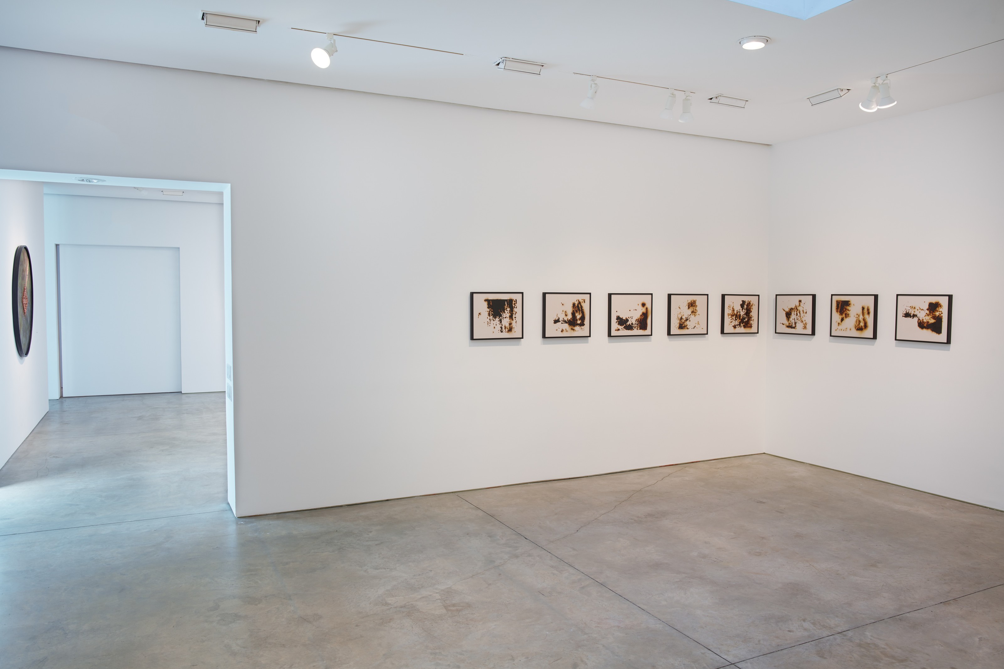 Installation view of American Landscape at Lehmann Maupin New York