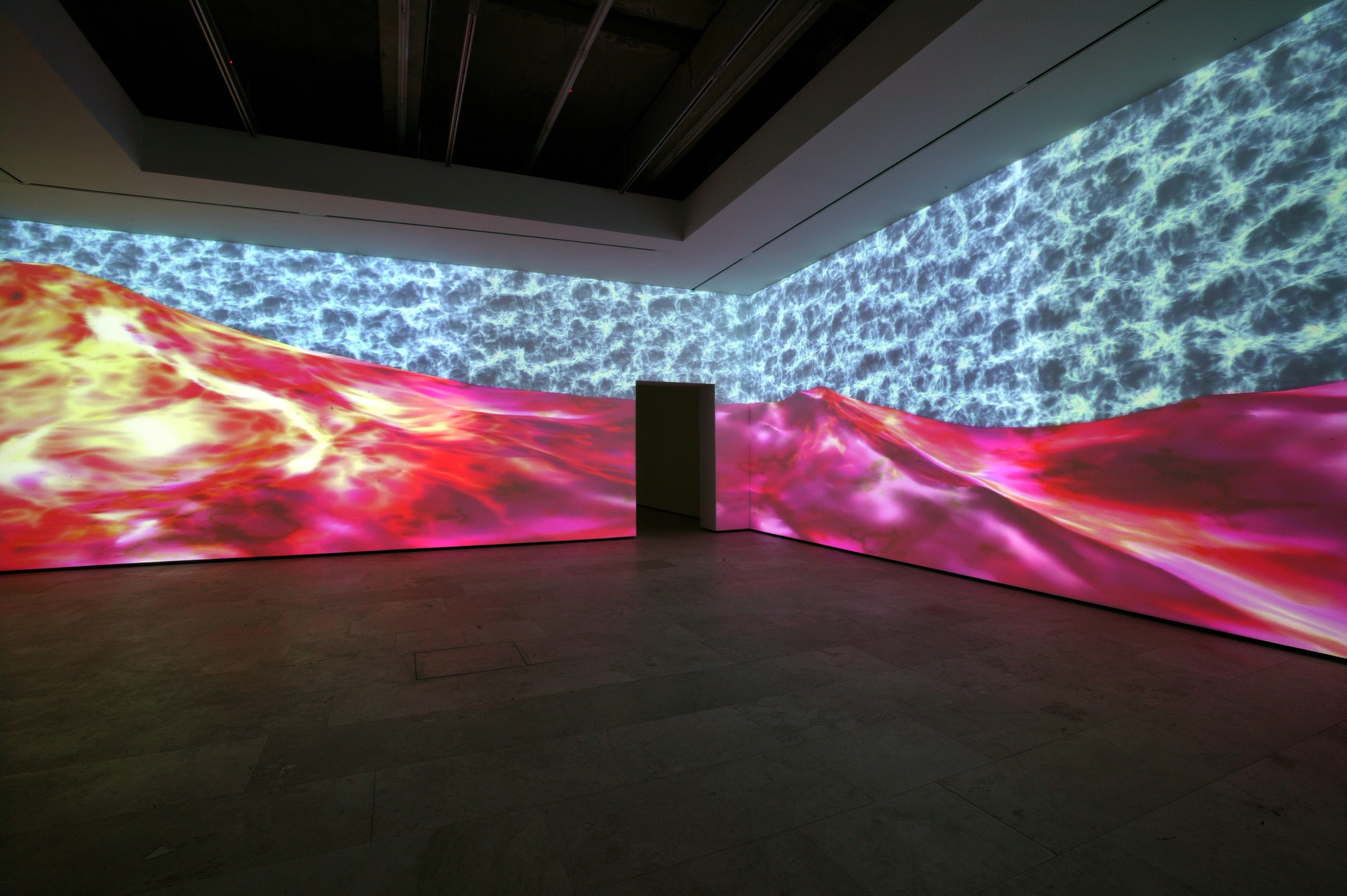 Installation view of Jennifer Steinkamp at Lehmann Maupin New York