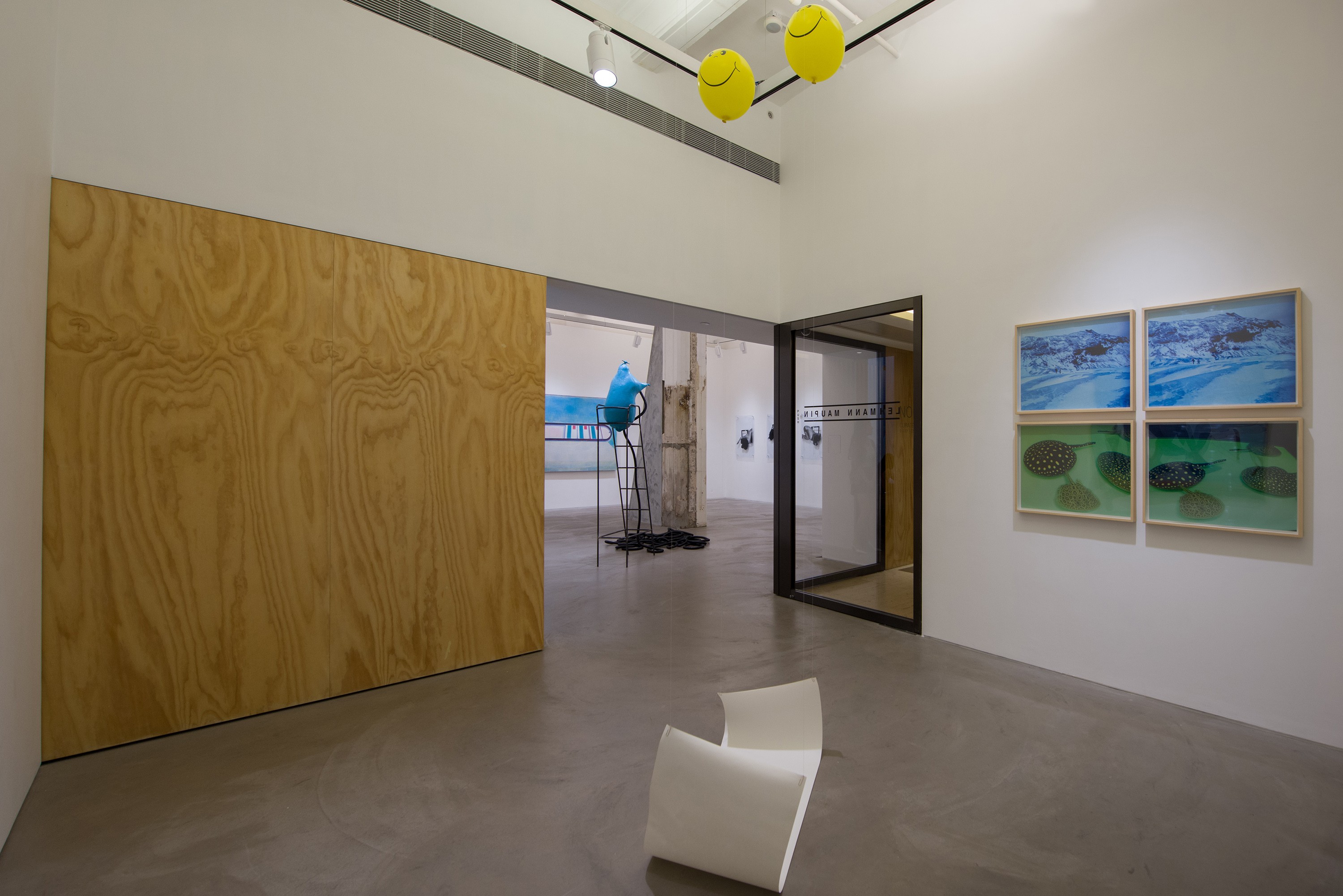 Installation view of Nocturnal Friendships at Lehmann Maupin Hong Kong