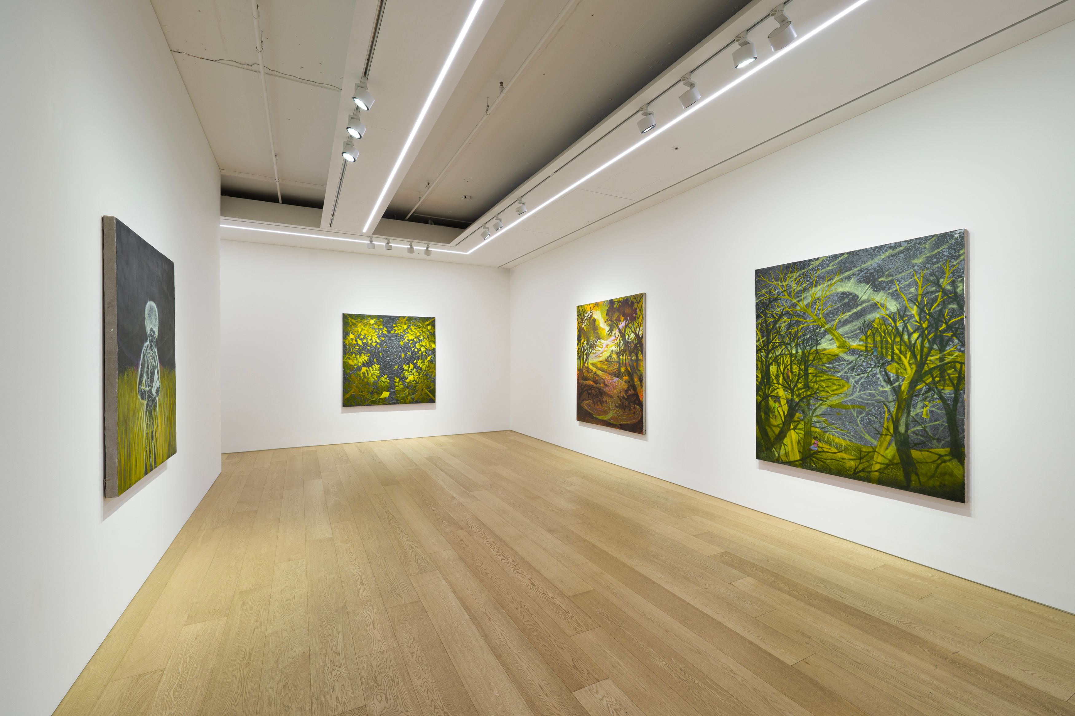 Installation view of Dominic Chambers at Lehmann Maupin Seoul