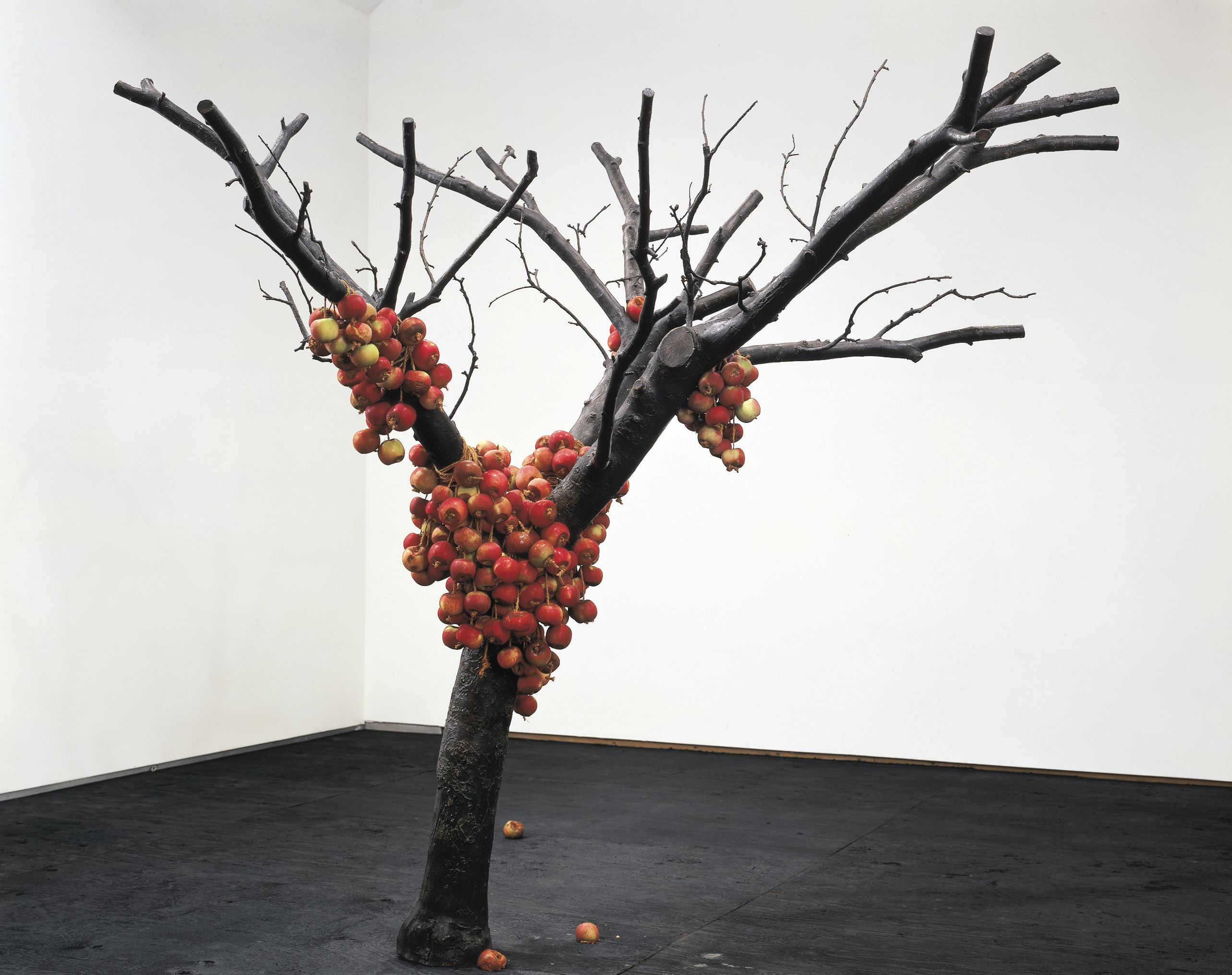 Sculpture by Anya Gallaccio