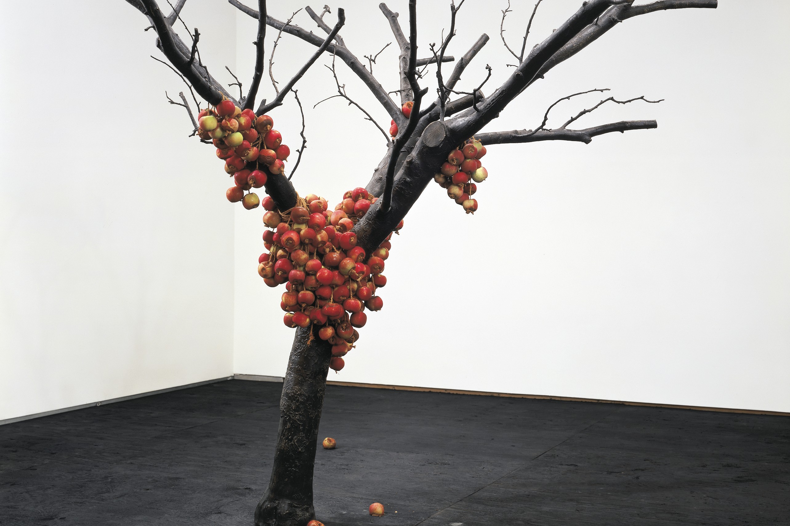 Sculpture by Anya Gallaccio