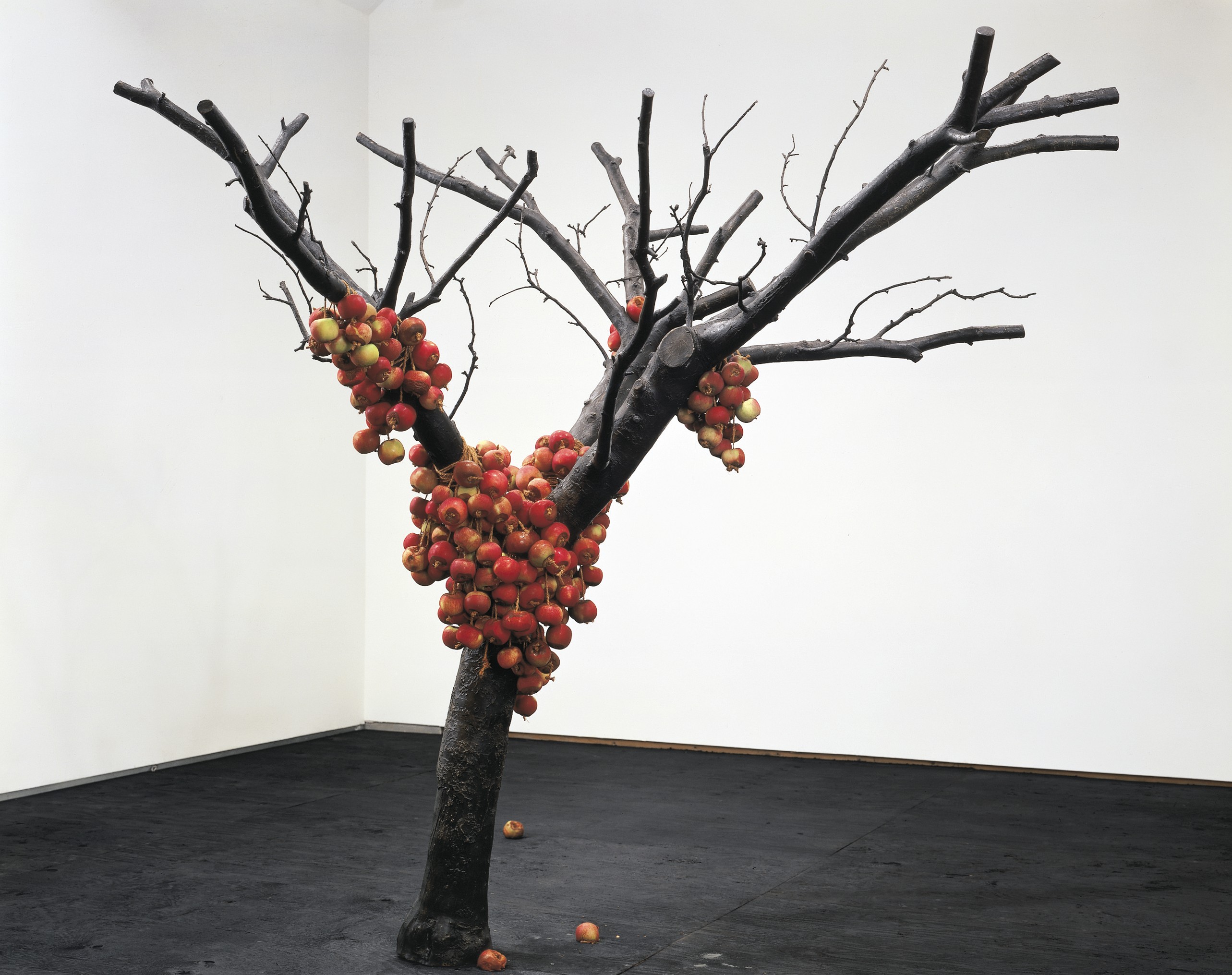 Sculpture by Anya Gallaccio